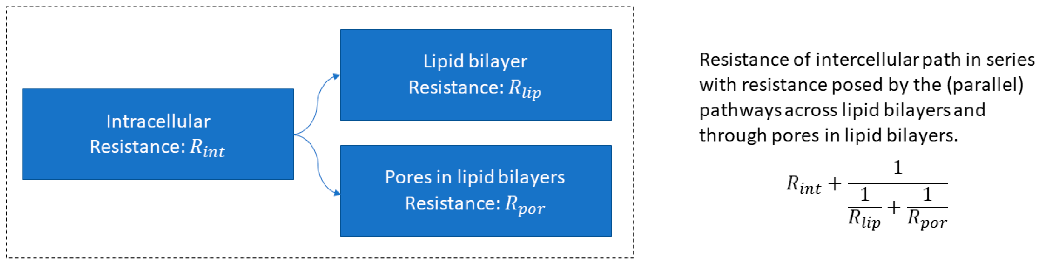 Pharmaceutics 15 02667 g0a4