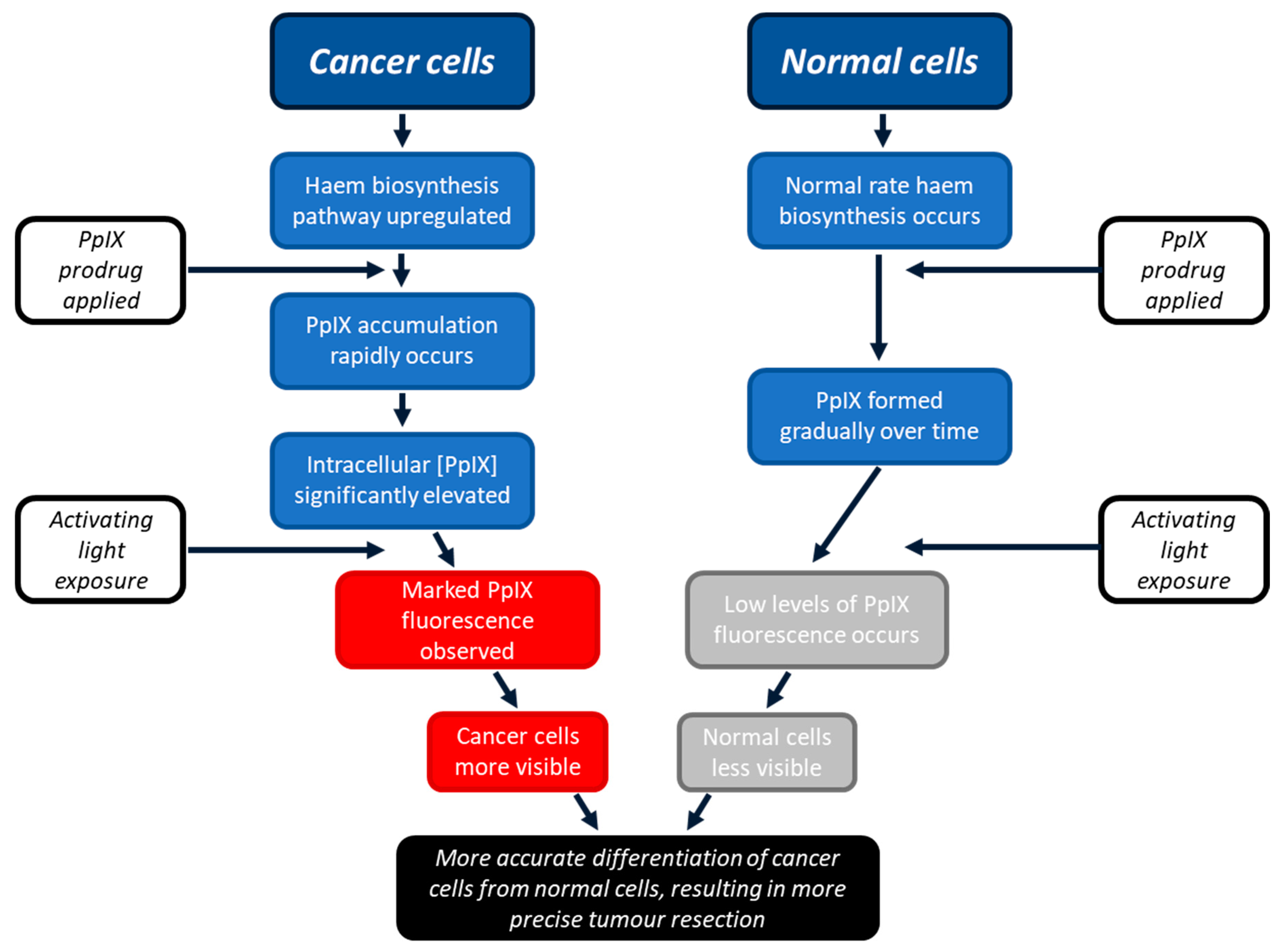 Pharmaceutics 15 02668 g001