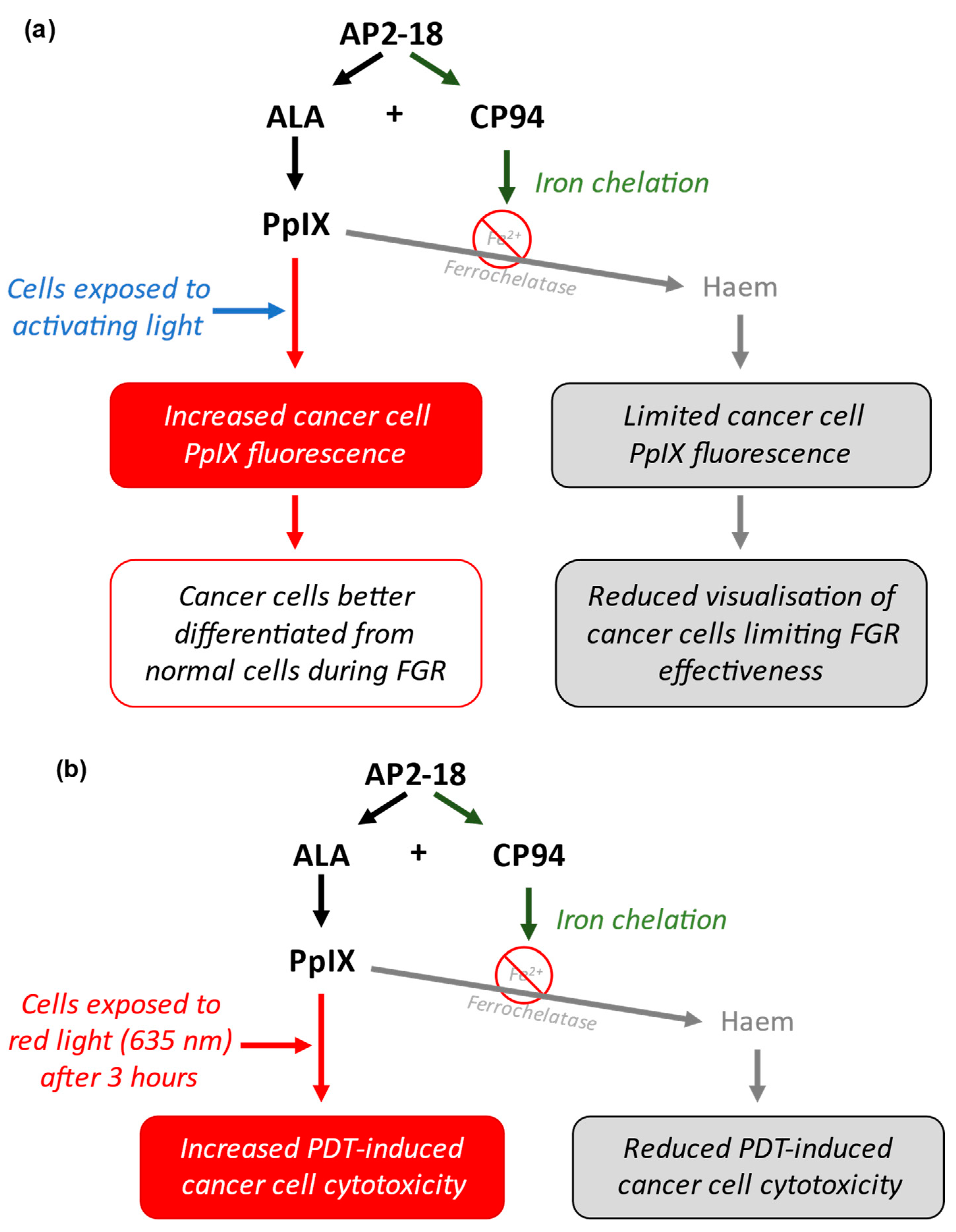 Pharmaceutics 15 02668 g002