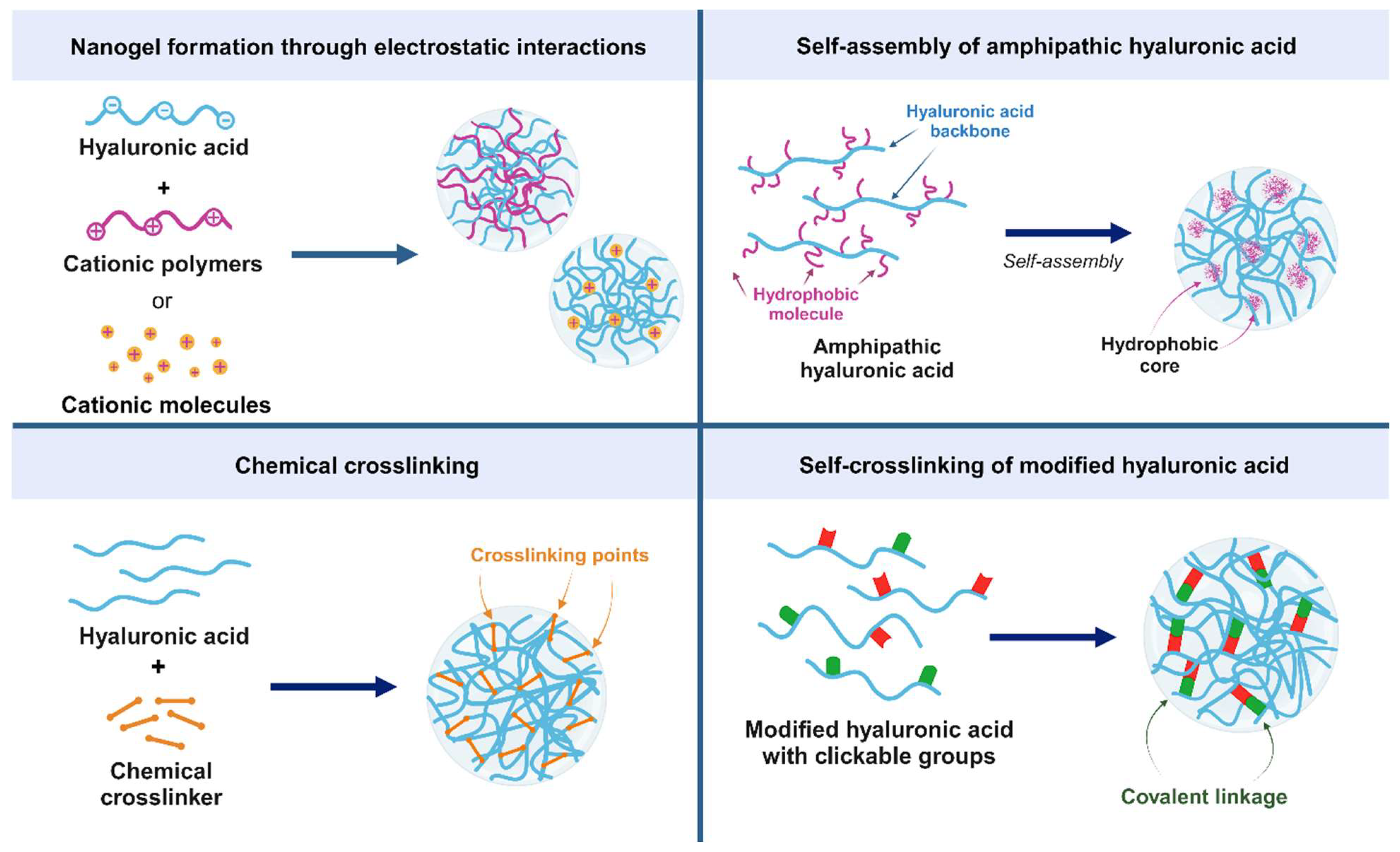 Pharmaceutics 15 02671 g001