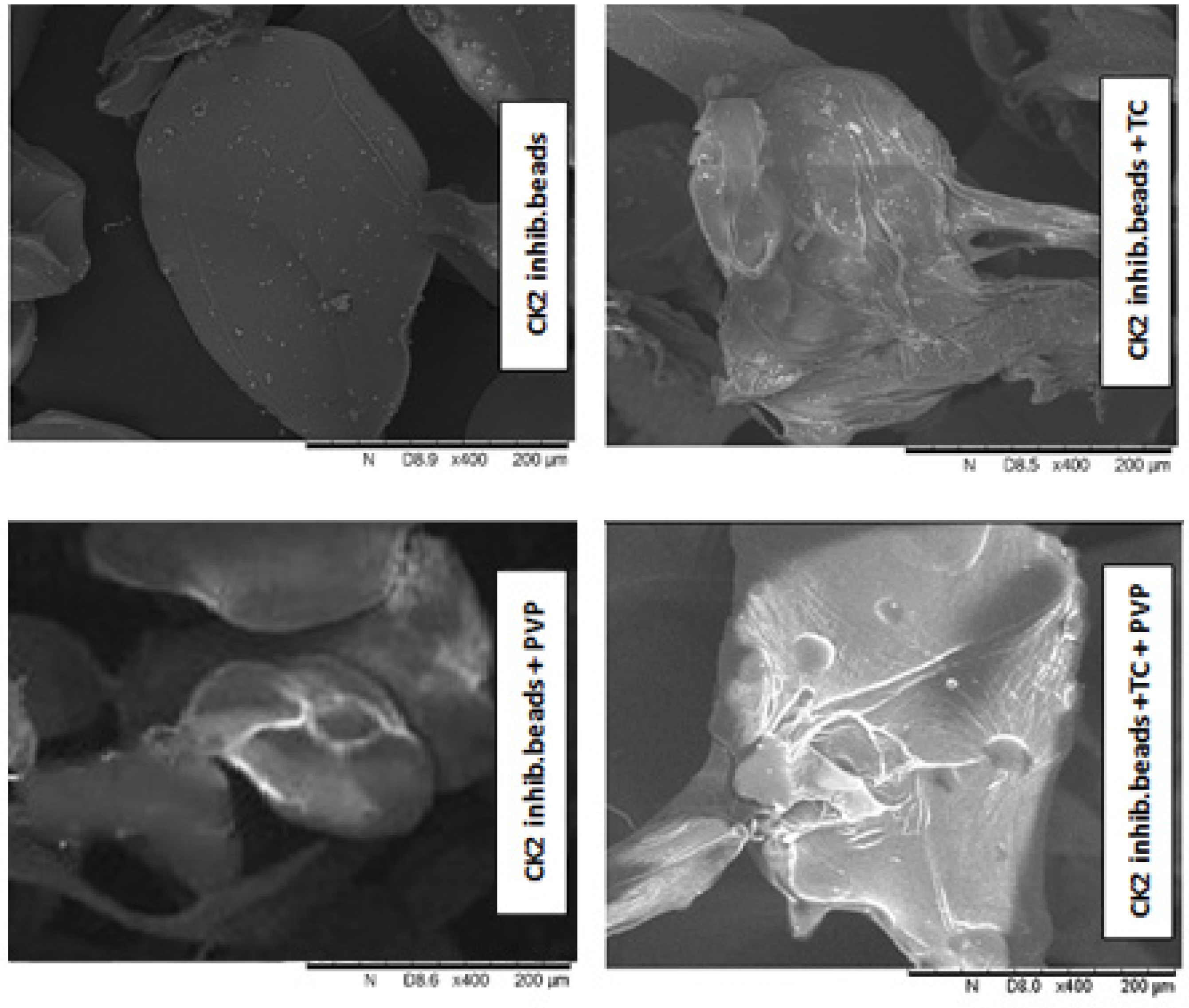 Pharmaceutics 15 02701 g002
