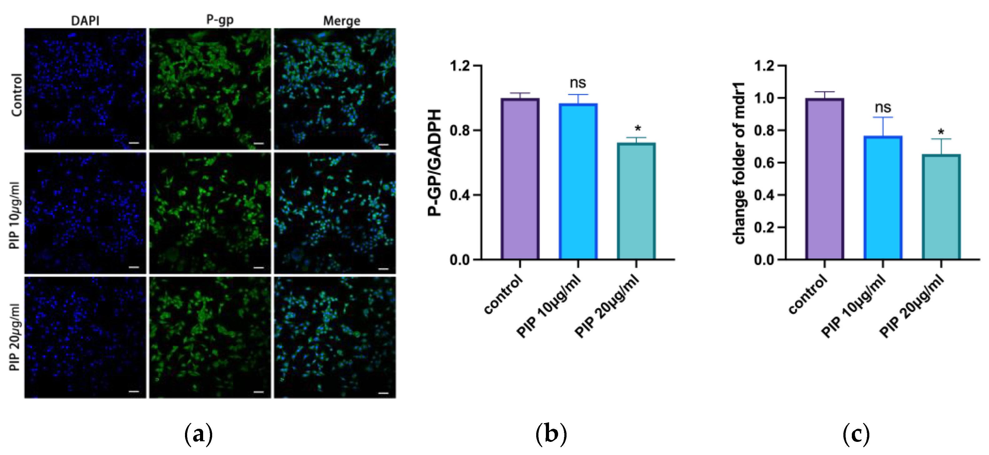 Pharmaceutics 15 02703 g003
