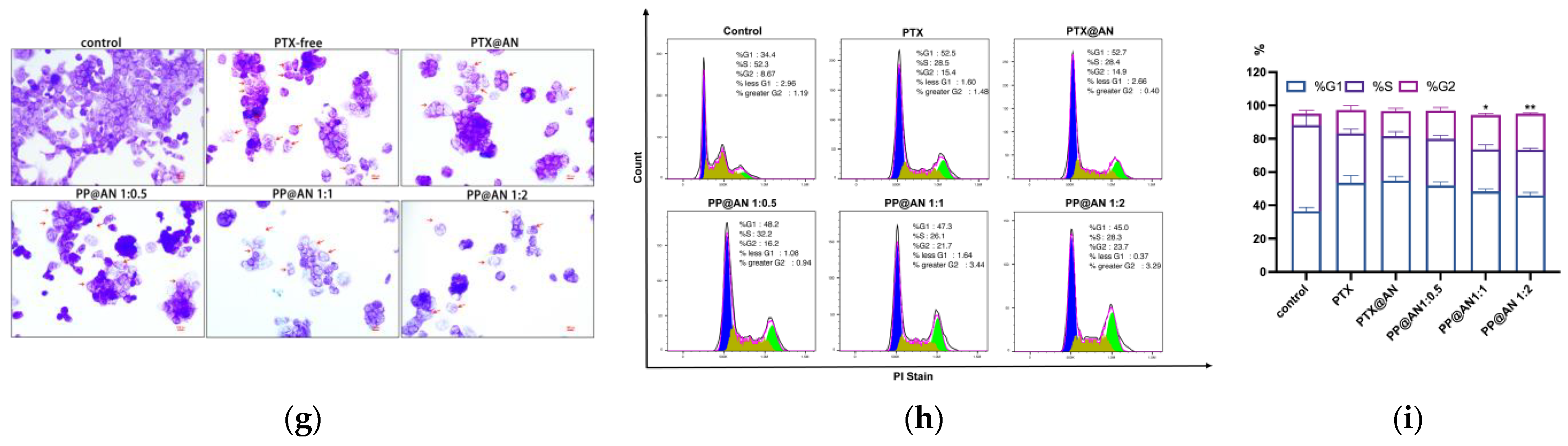 Pharmaceutics 15 02703 g004b