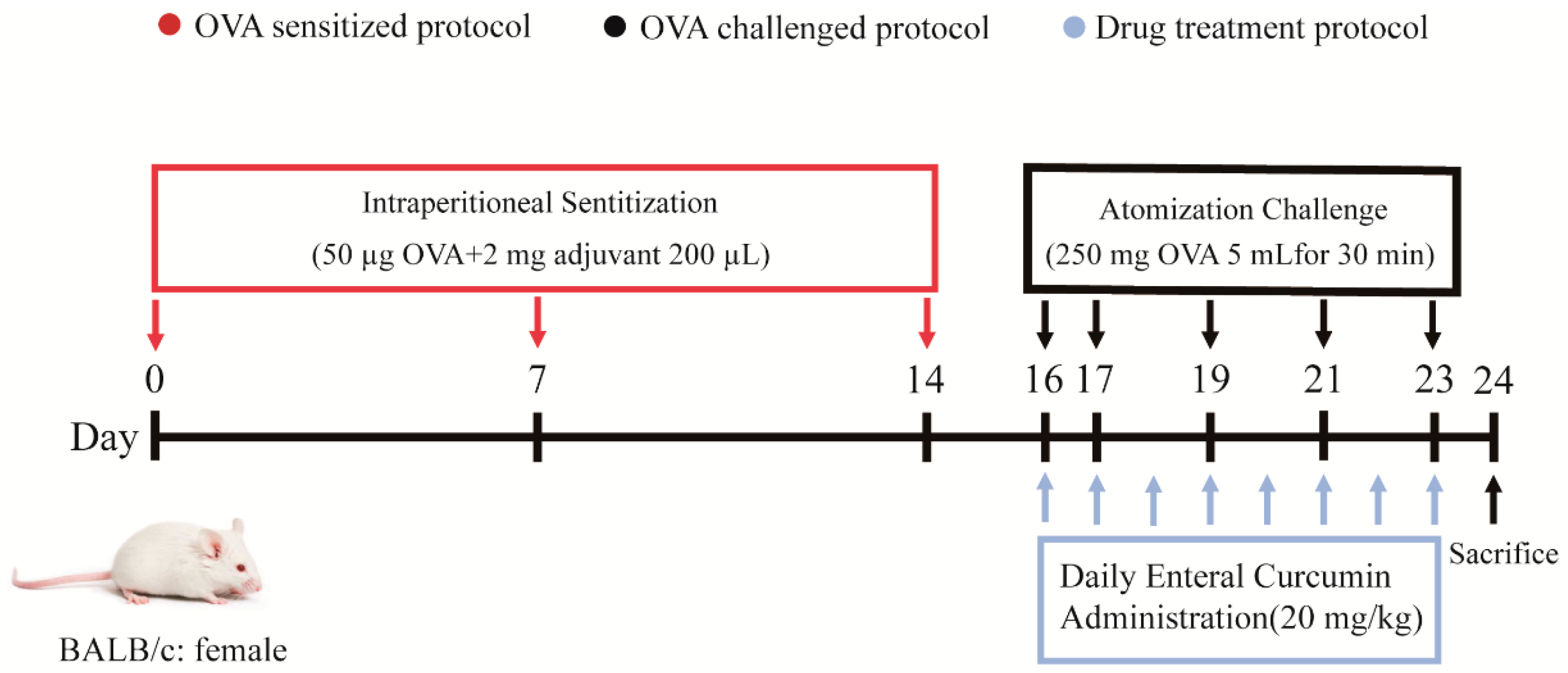 Pharmaceutics 15 02710 g001