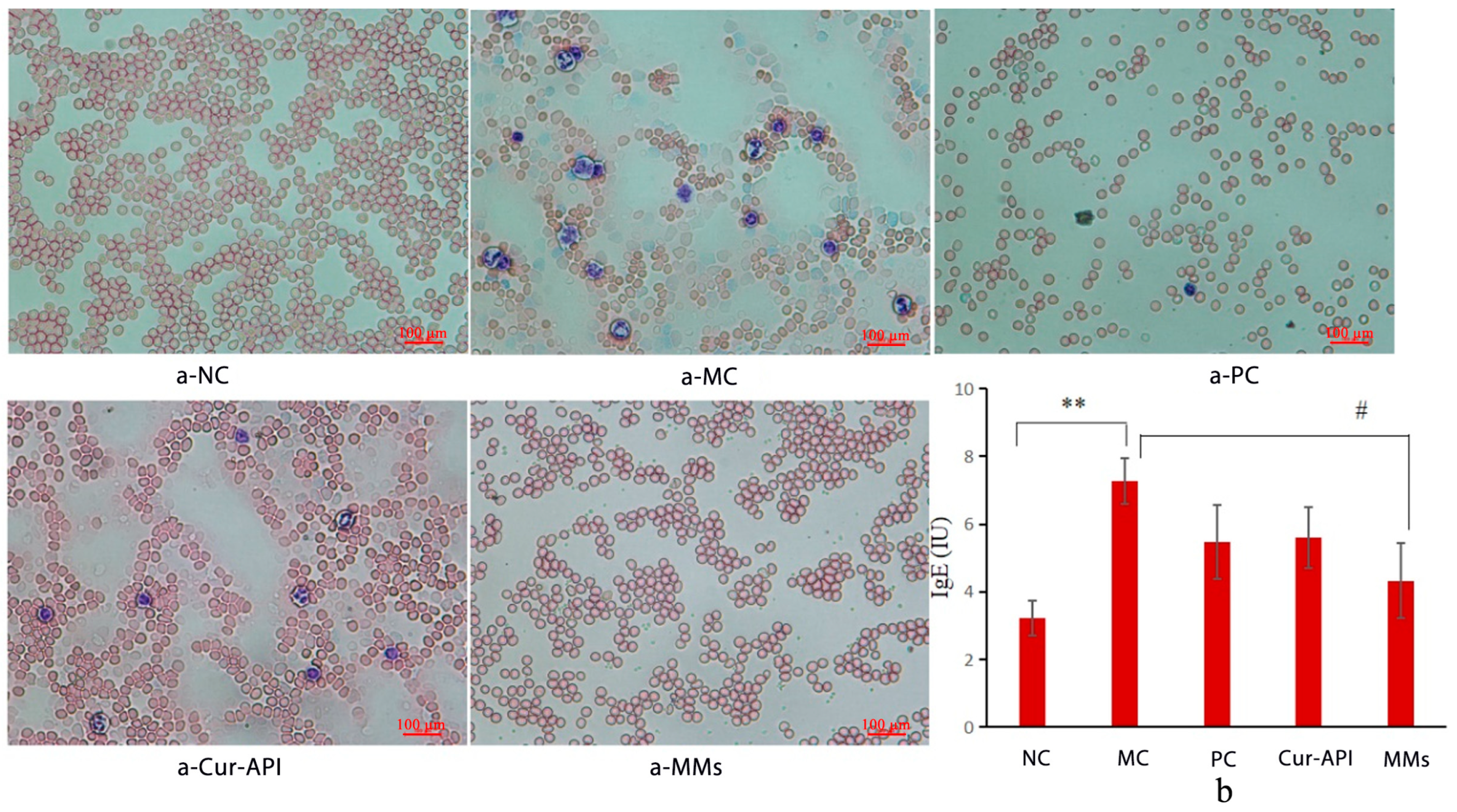 Pharmaceutics 15 02710 g009