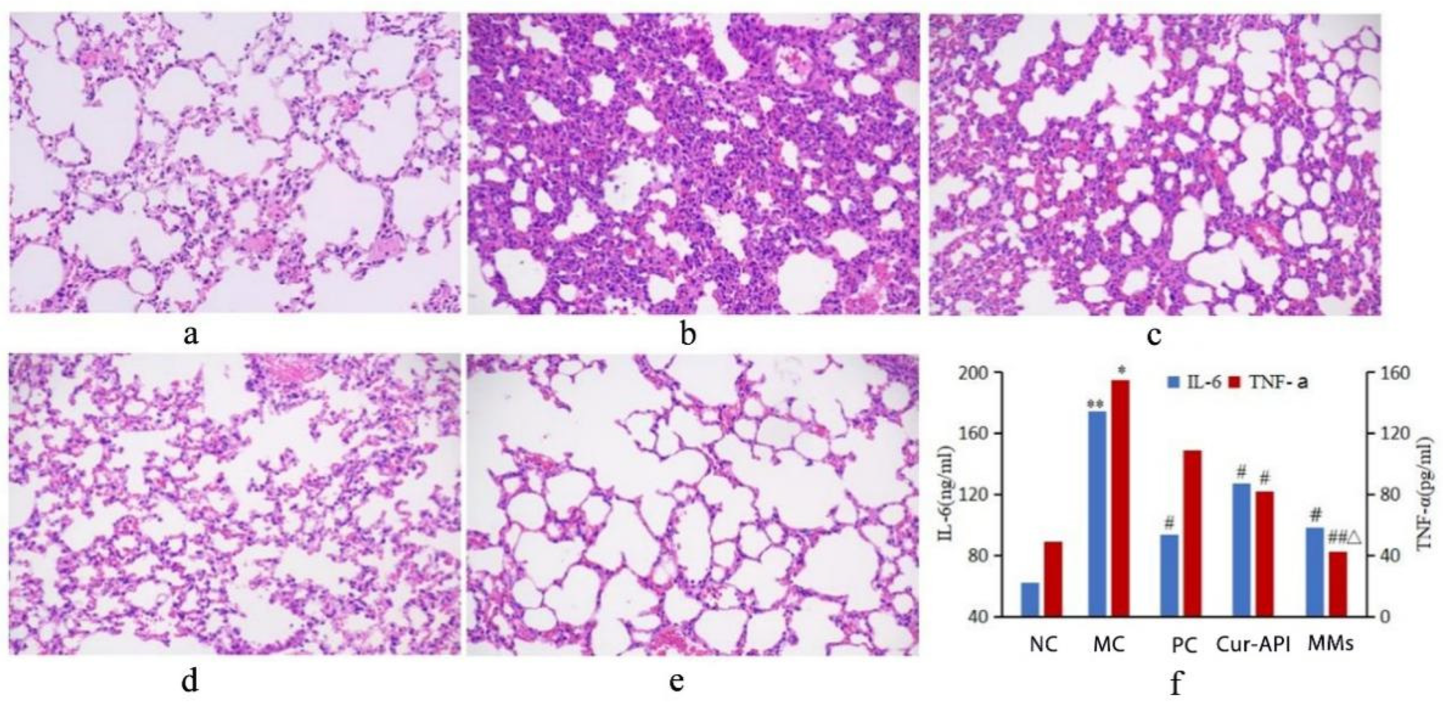 Pharmaceutics 15 02710 g010