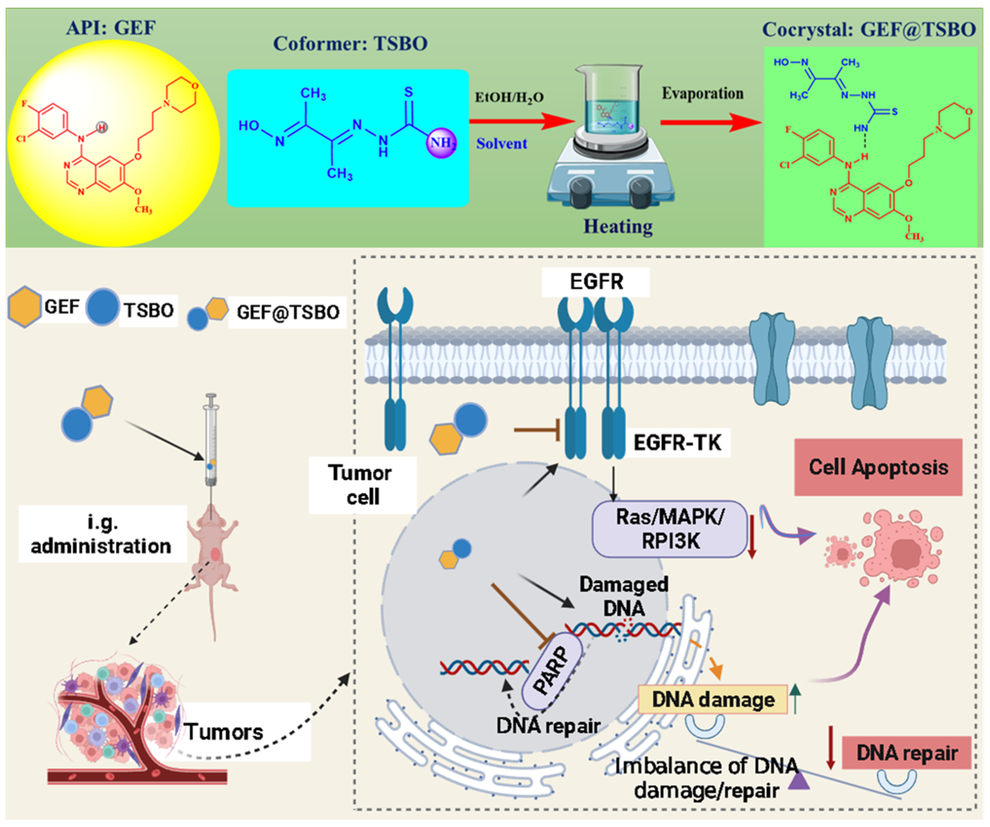 Pharmaceutics 15 02713 g001