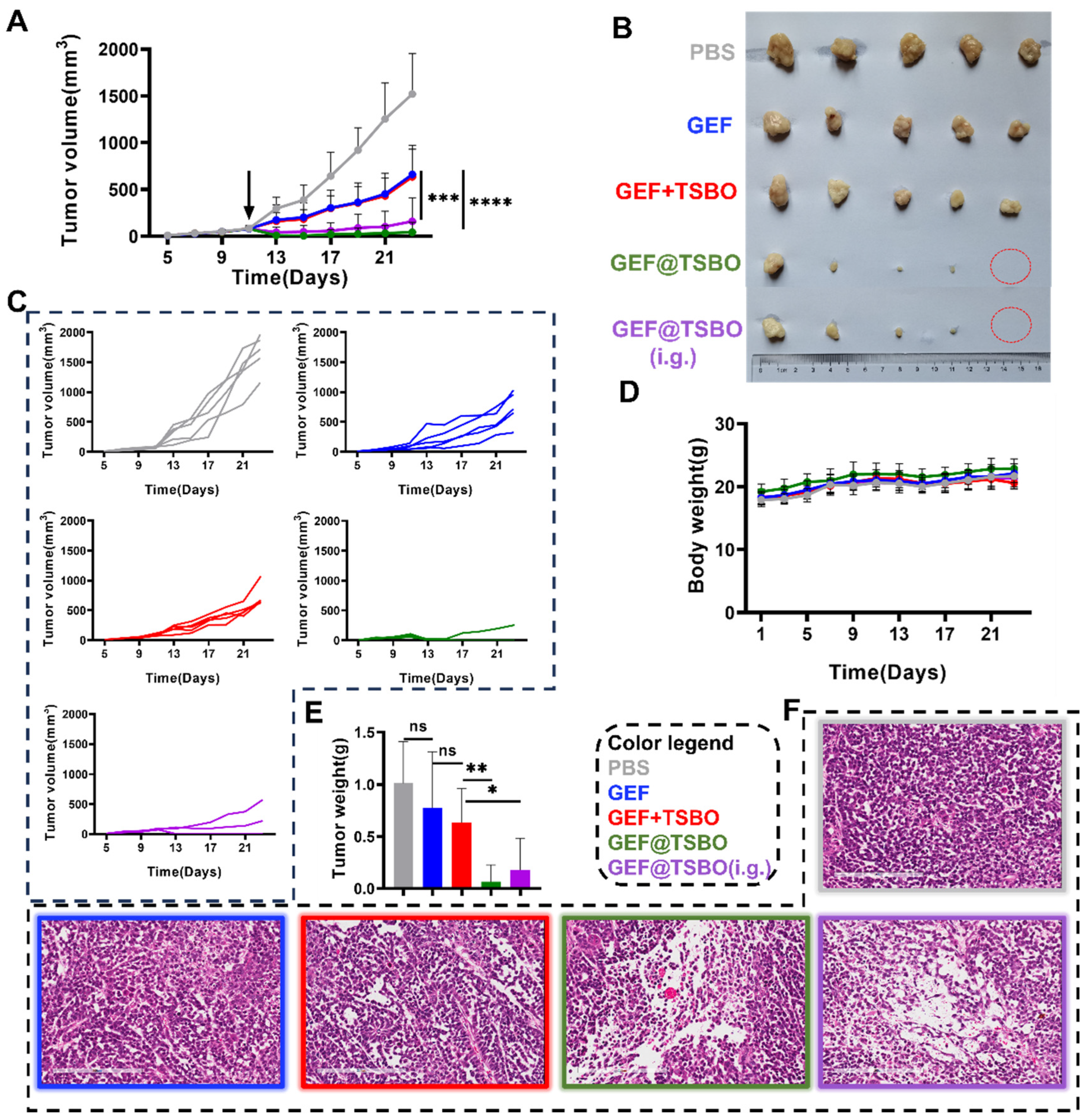 Pharmaceutics 15 02713 g007