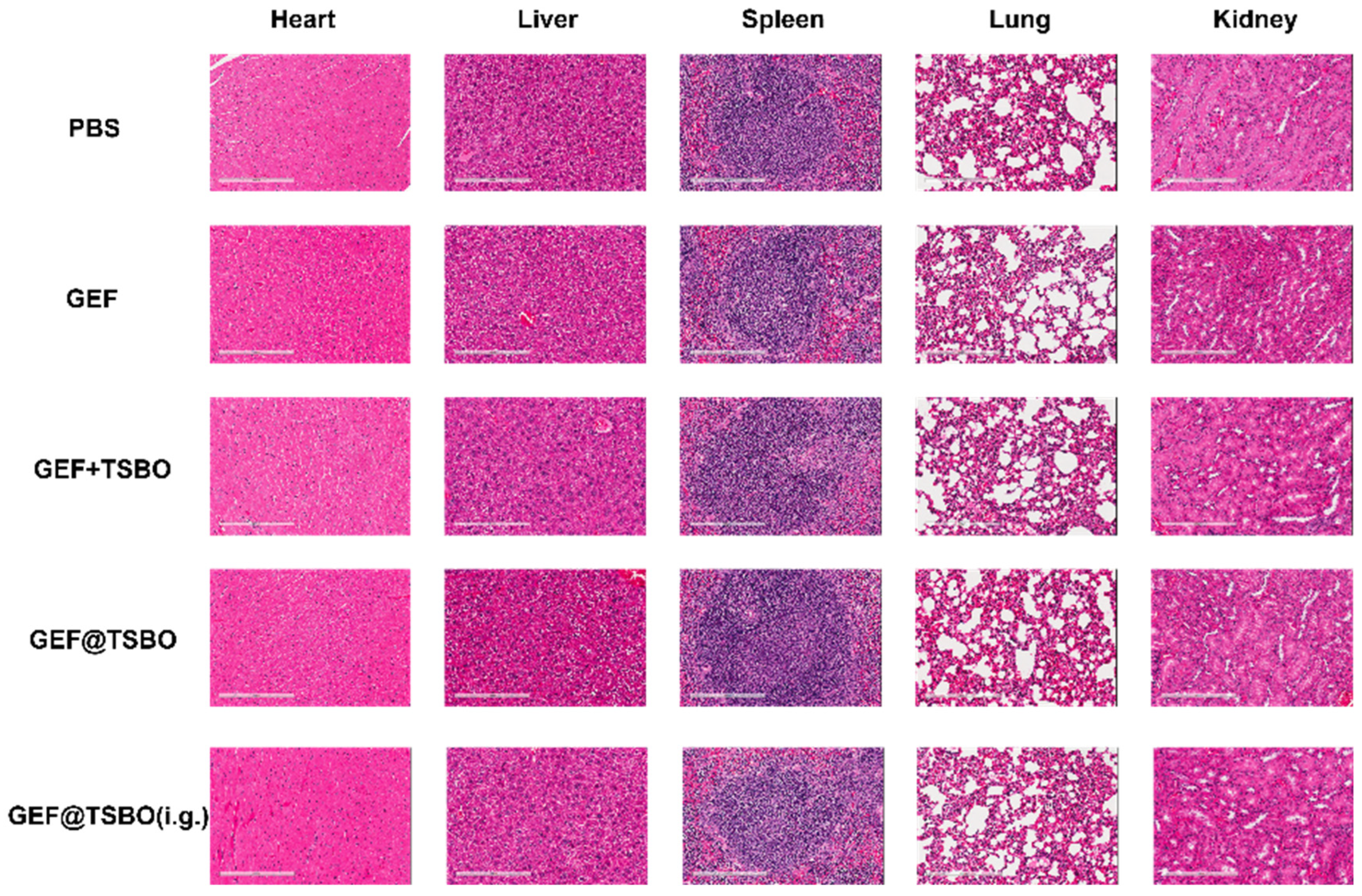 Pharmaceutics 15 02713 g008