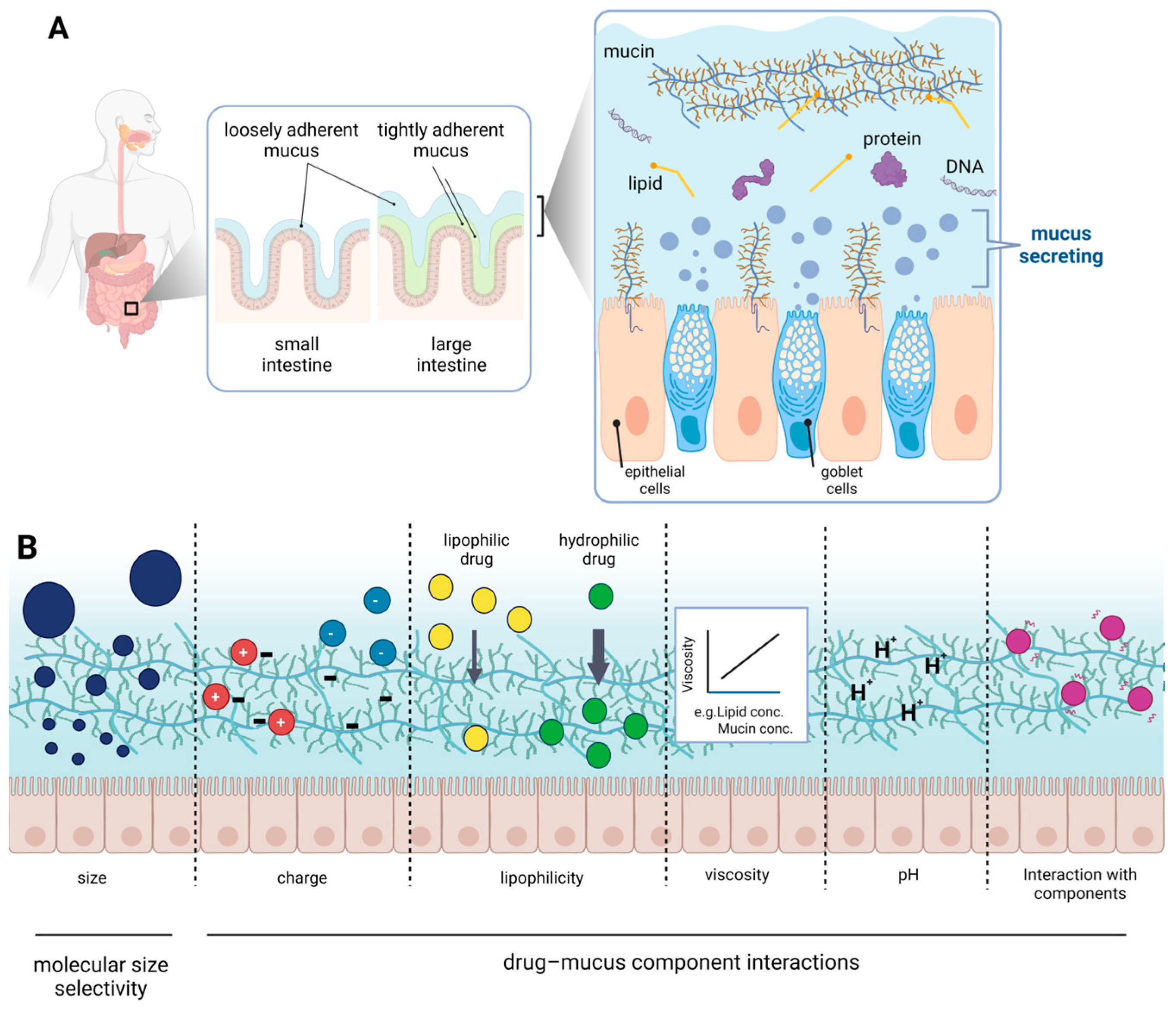 Pharmaceutics 15 02714 g001