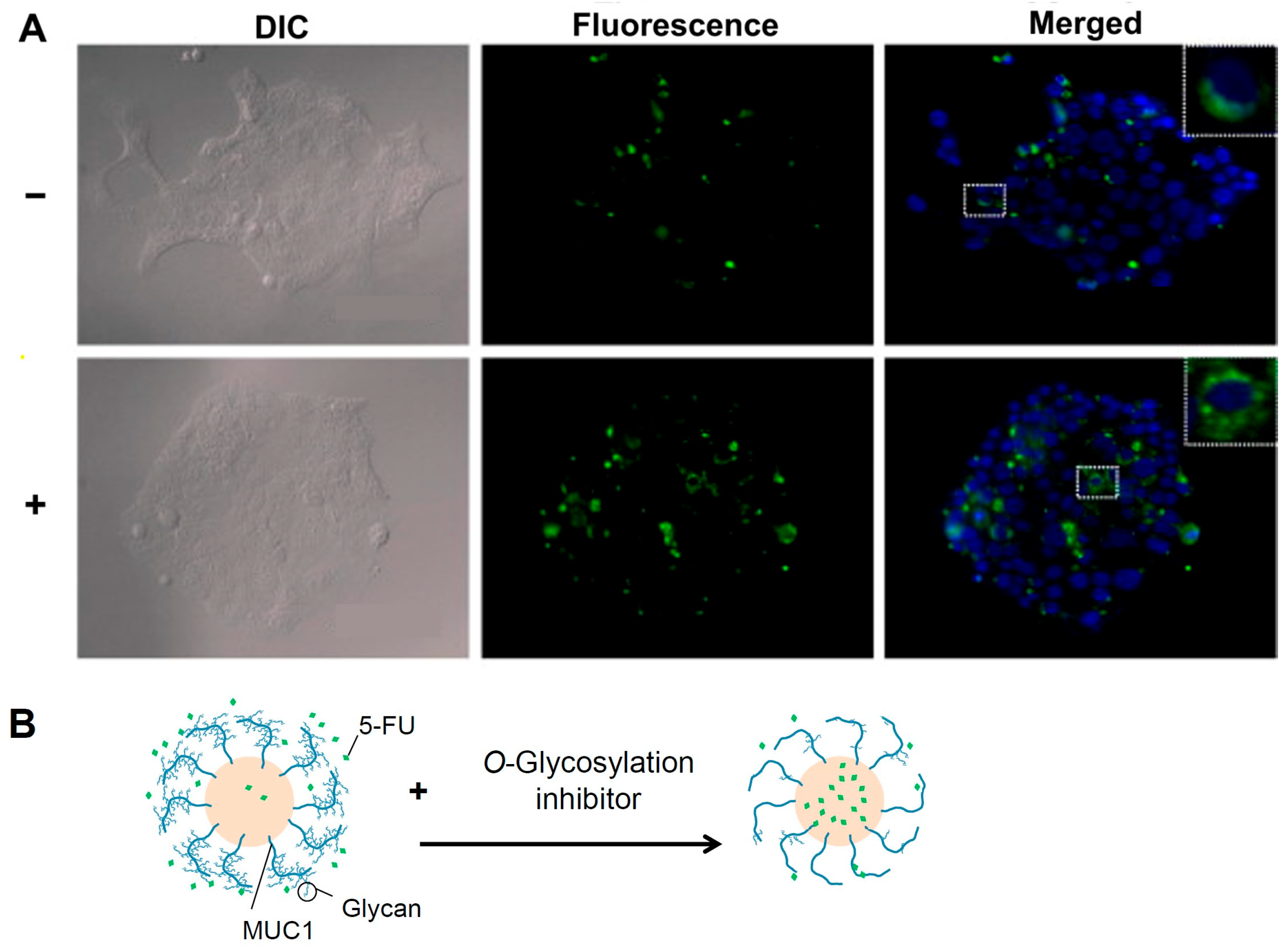 Pharmaceutics 15 02714 g003
