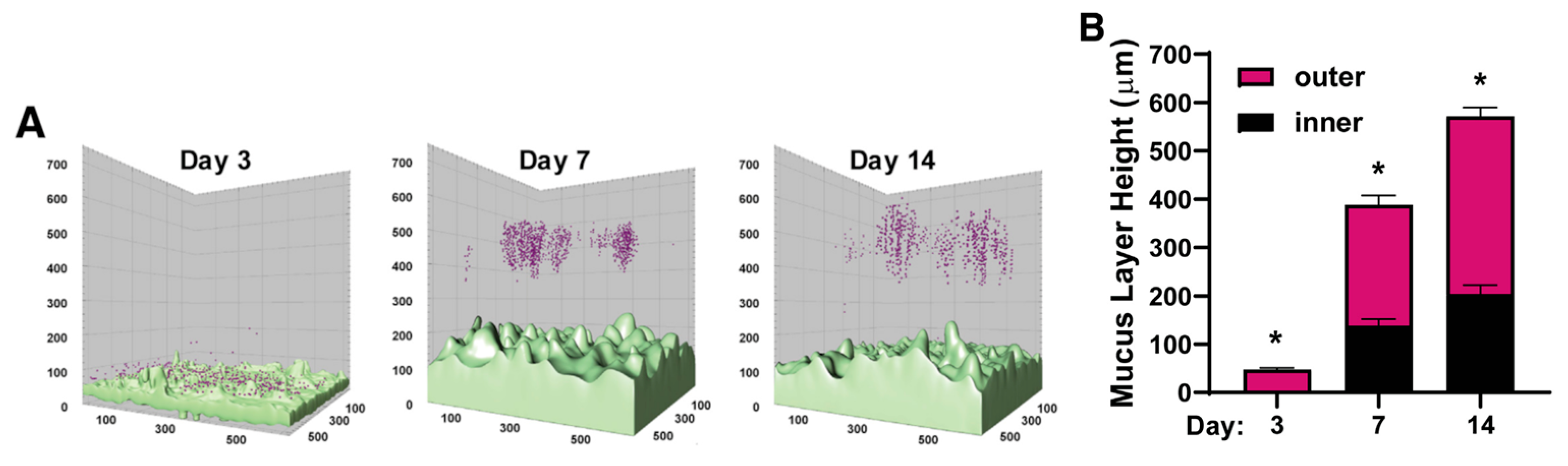 Pharmaceutics 15 02714 g006