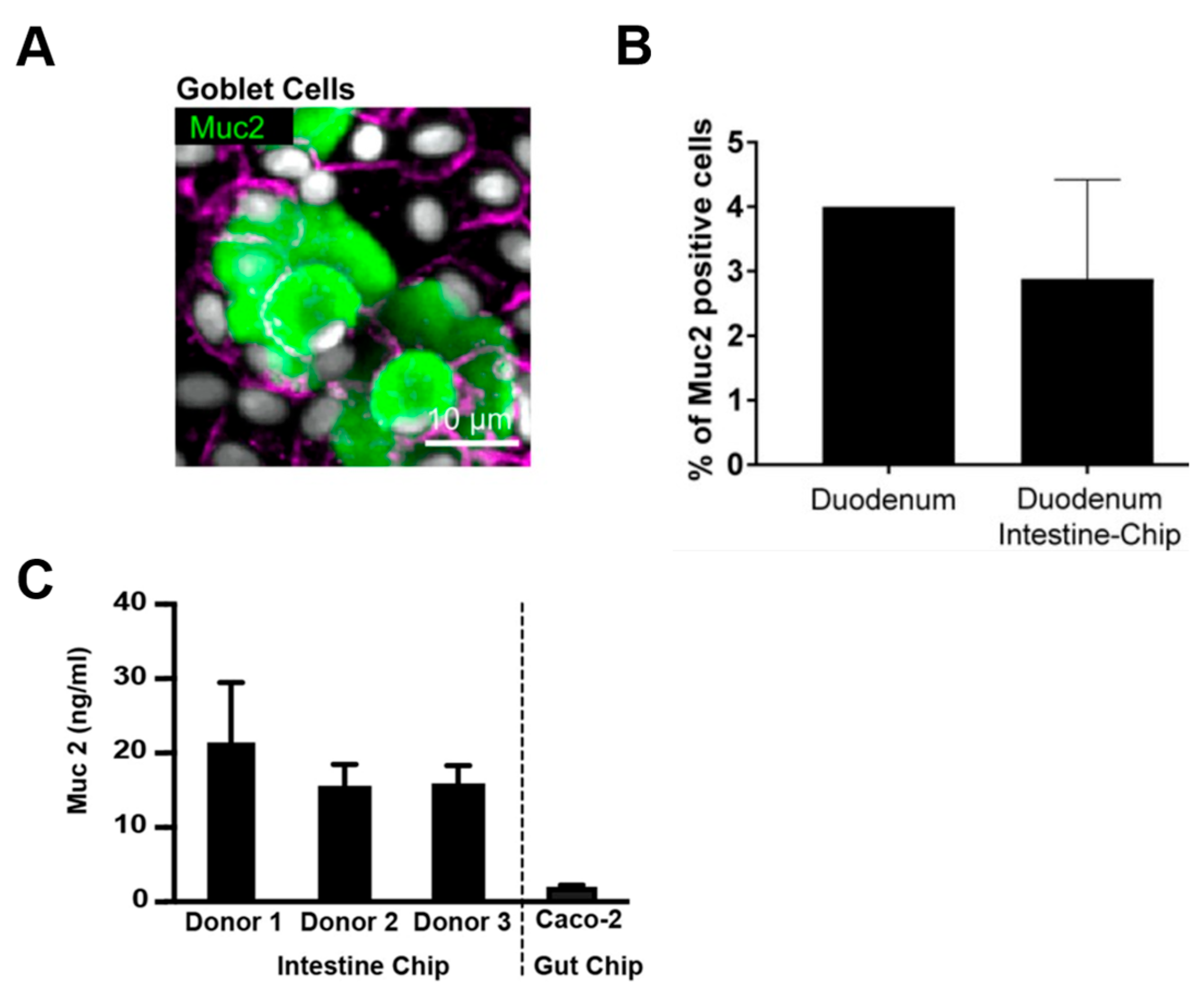 Pharmaceutics 15 02714 g007