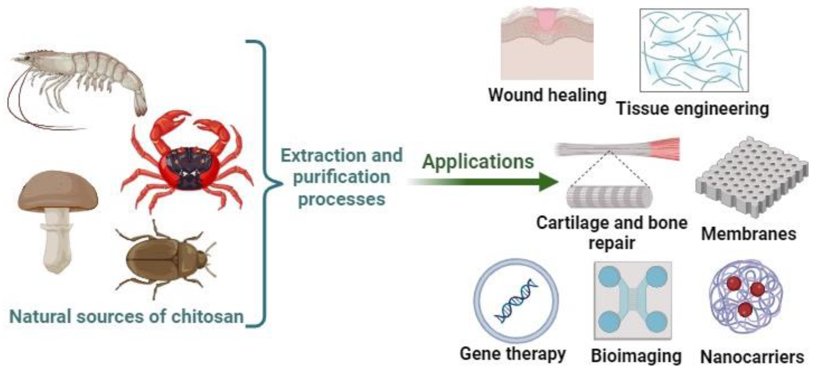 Pharmaceutics 15 02722 g001