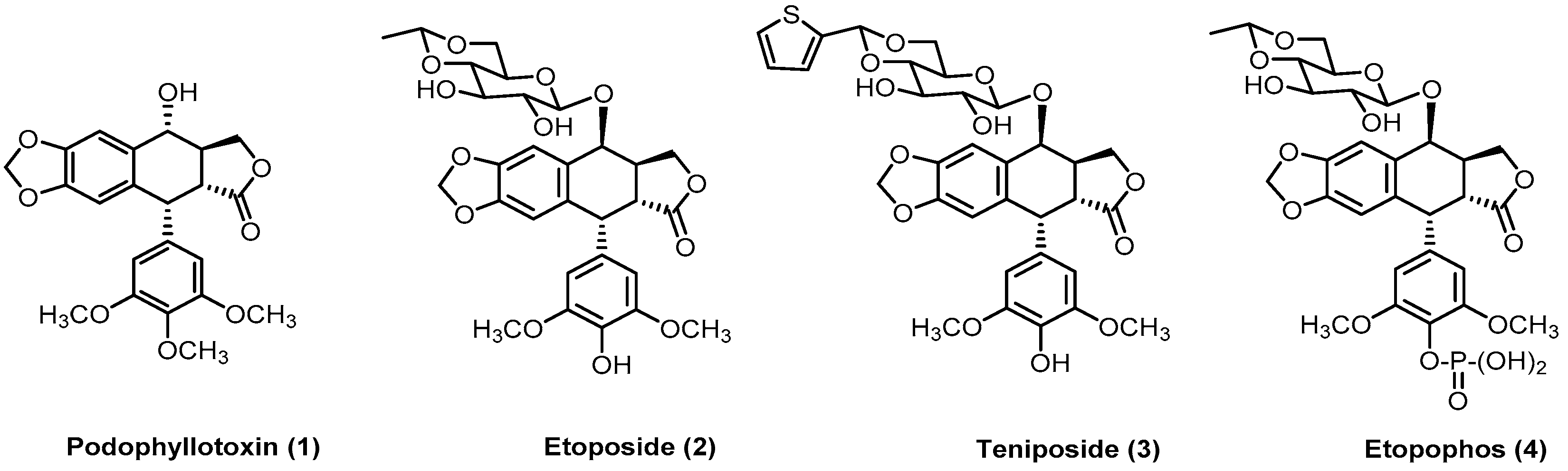 Pharmaceutics 15 02728 g001
