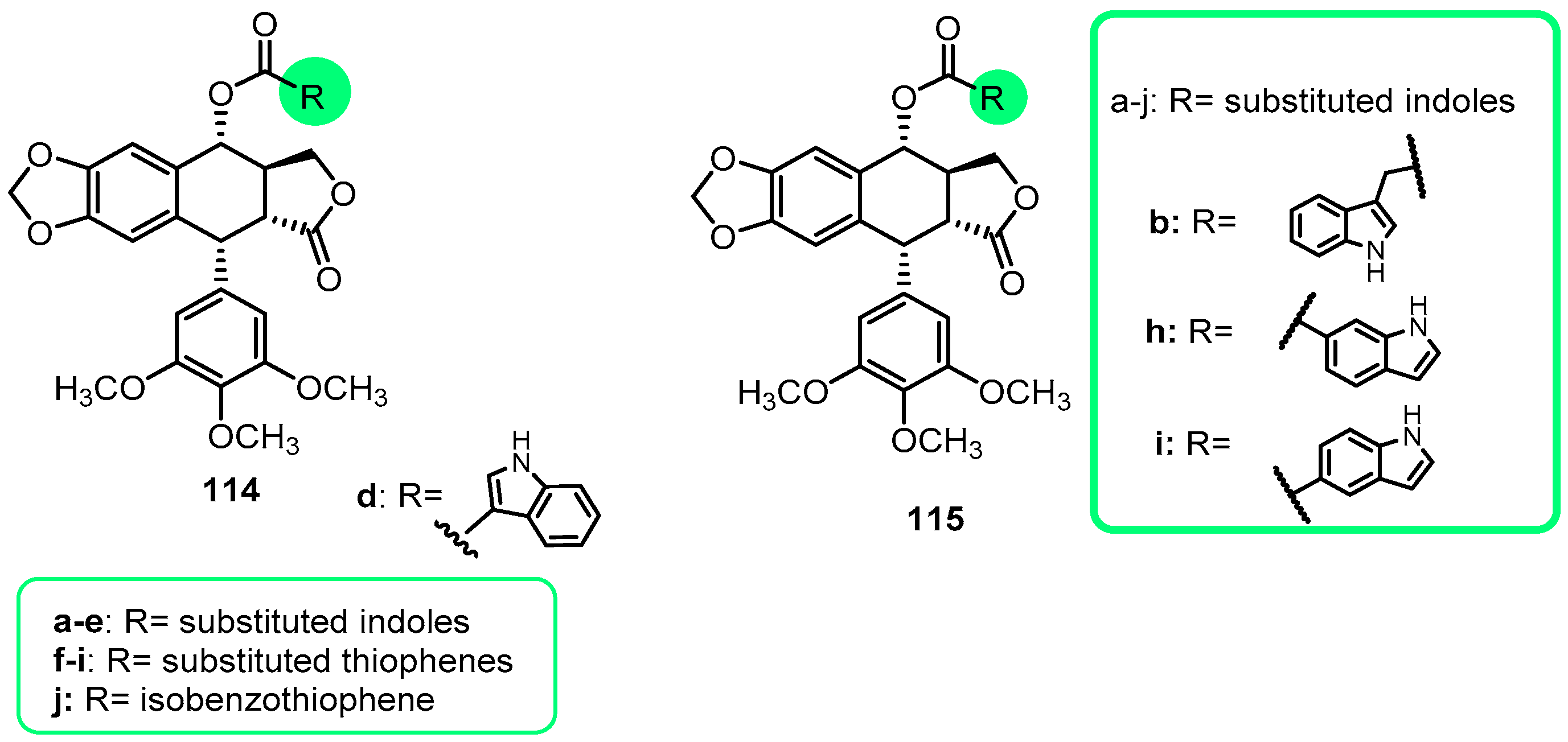 Pharmaceutics 15 02728 g014