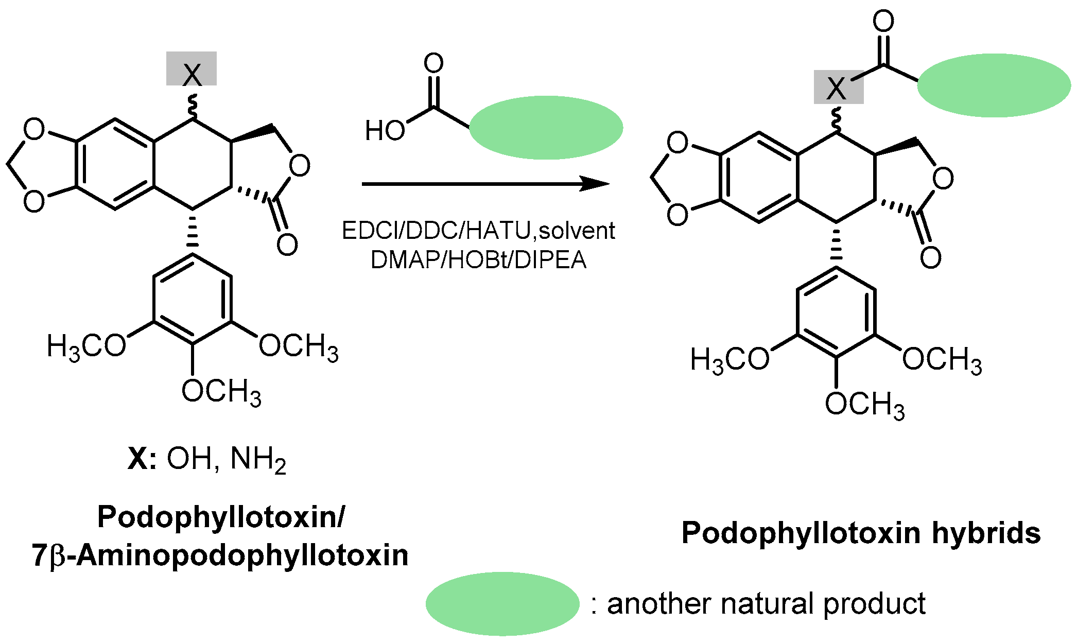 Pharmaceutics 15 02728 sch002