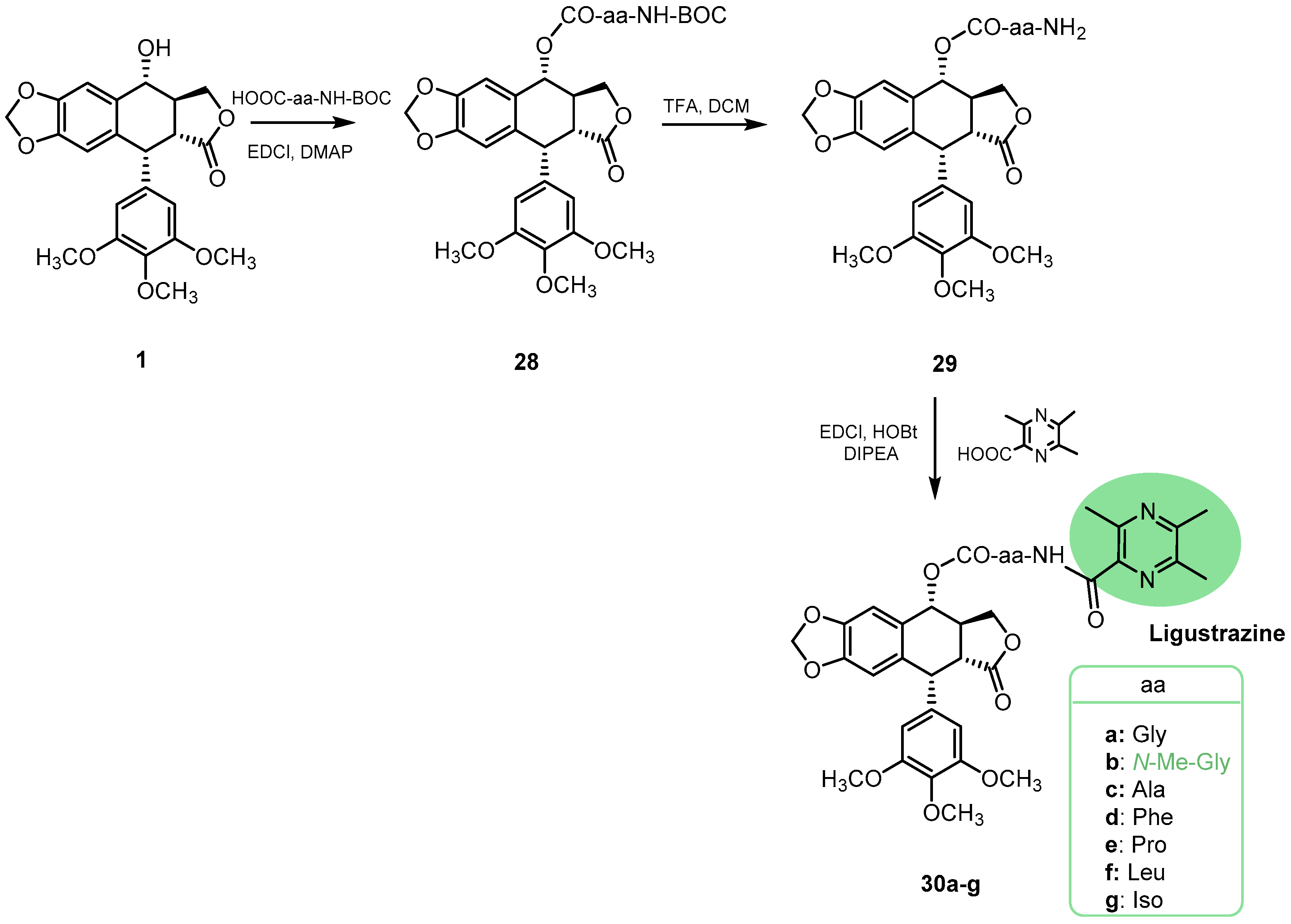 Pharmaceutics 15 02728 sch005
