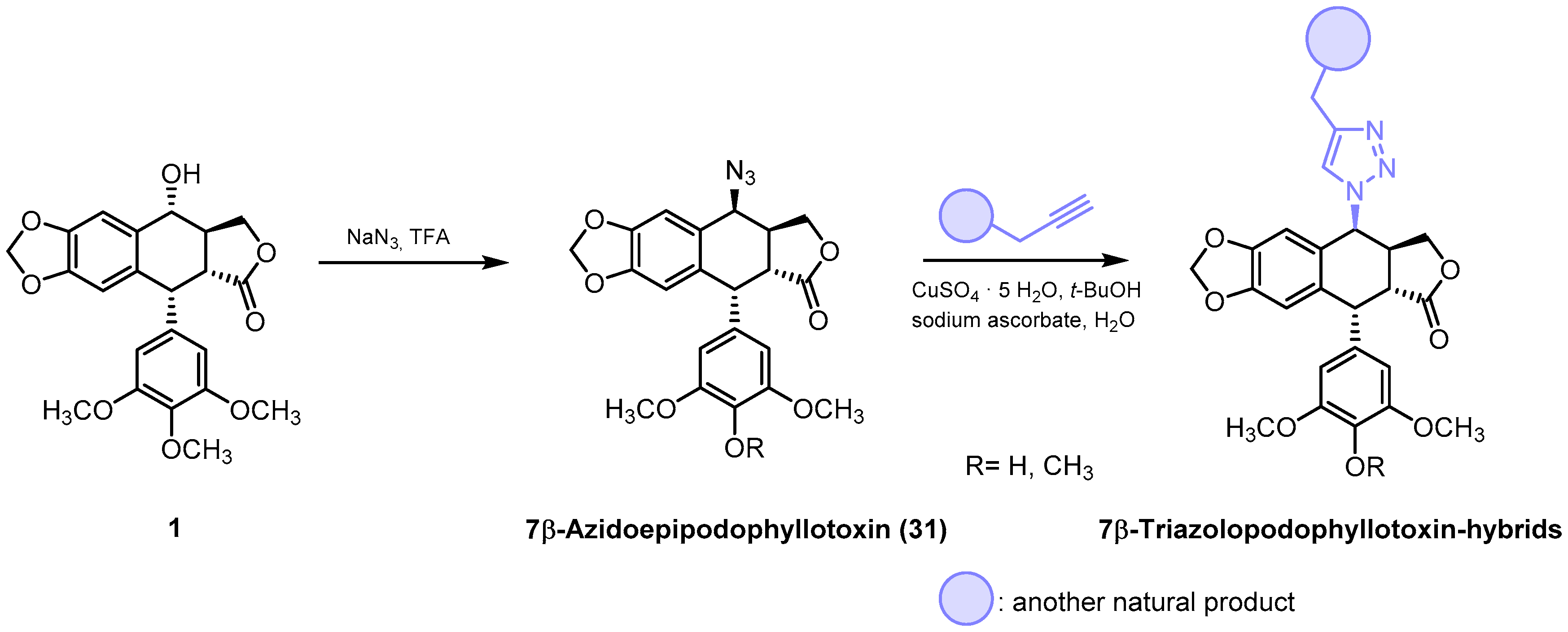 Pharmaceutics 15 02728 sch006