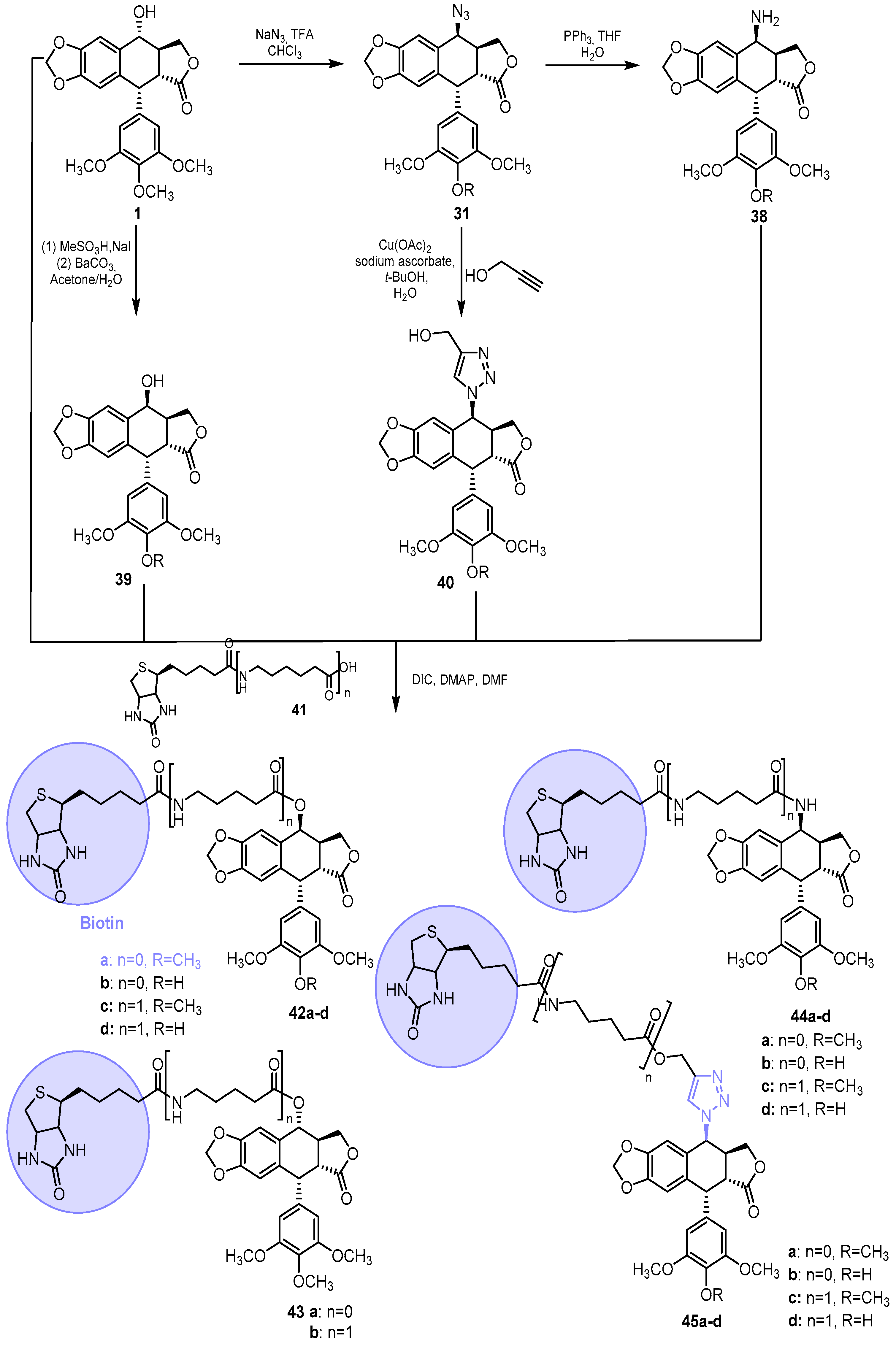 Pharmaceutics 15 02728 sch007