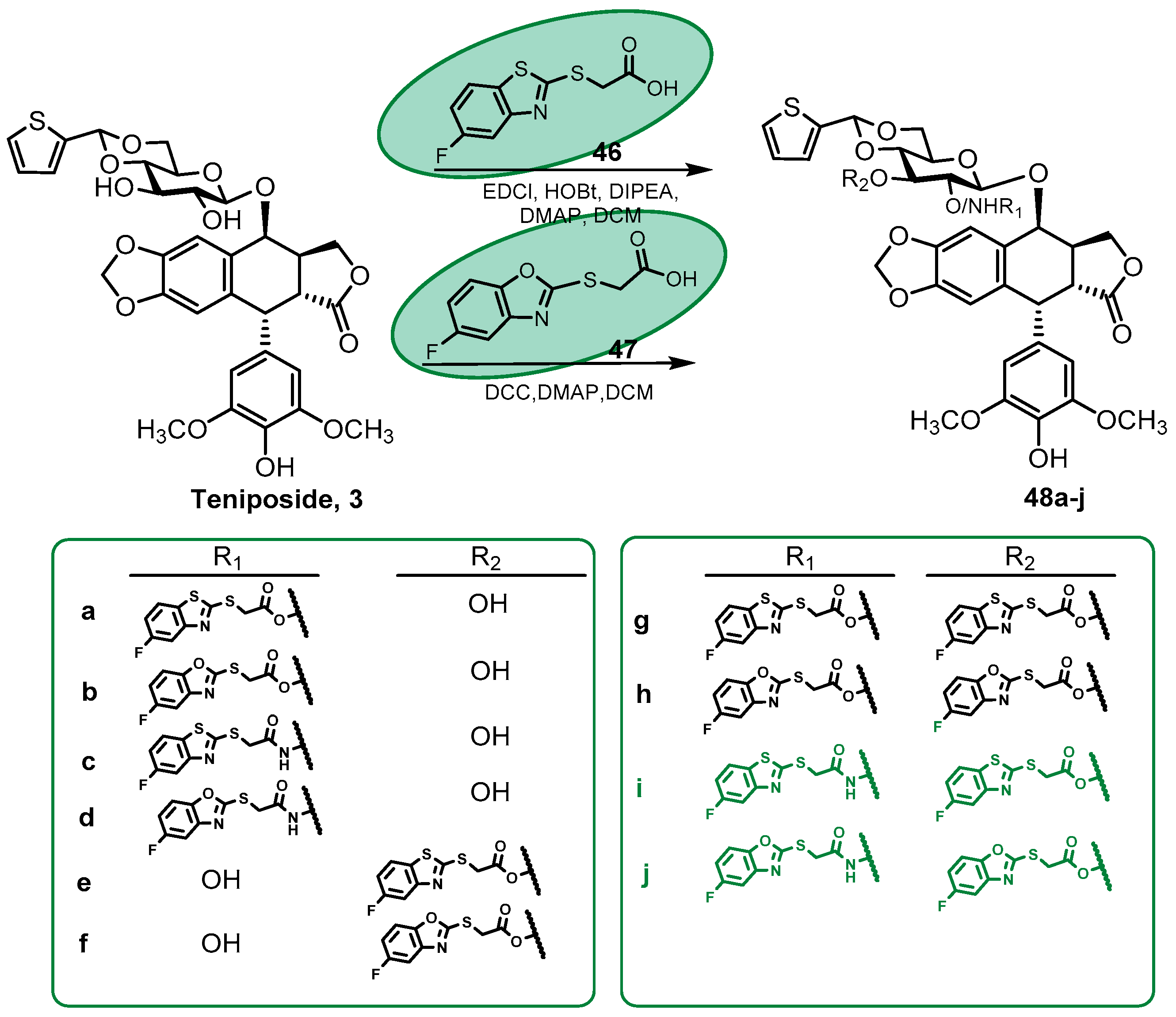 Pharmaceutics 15 02728 sch008