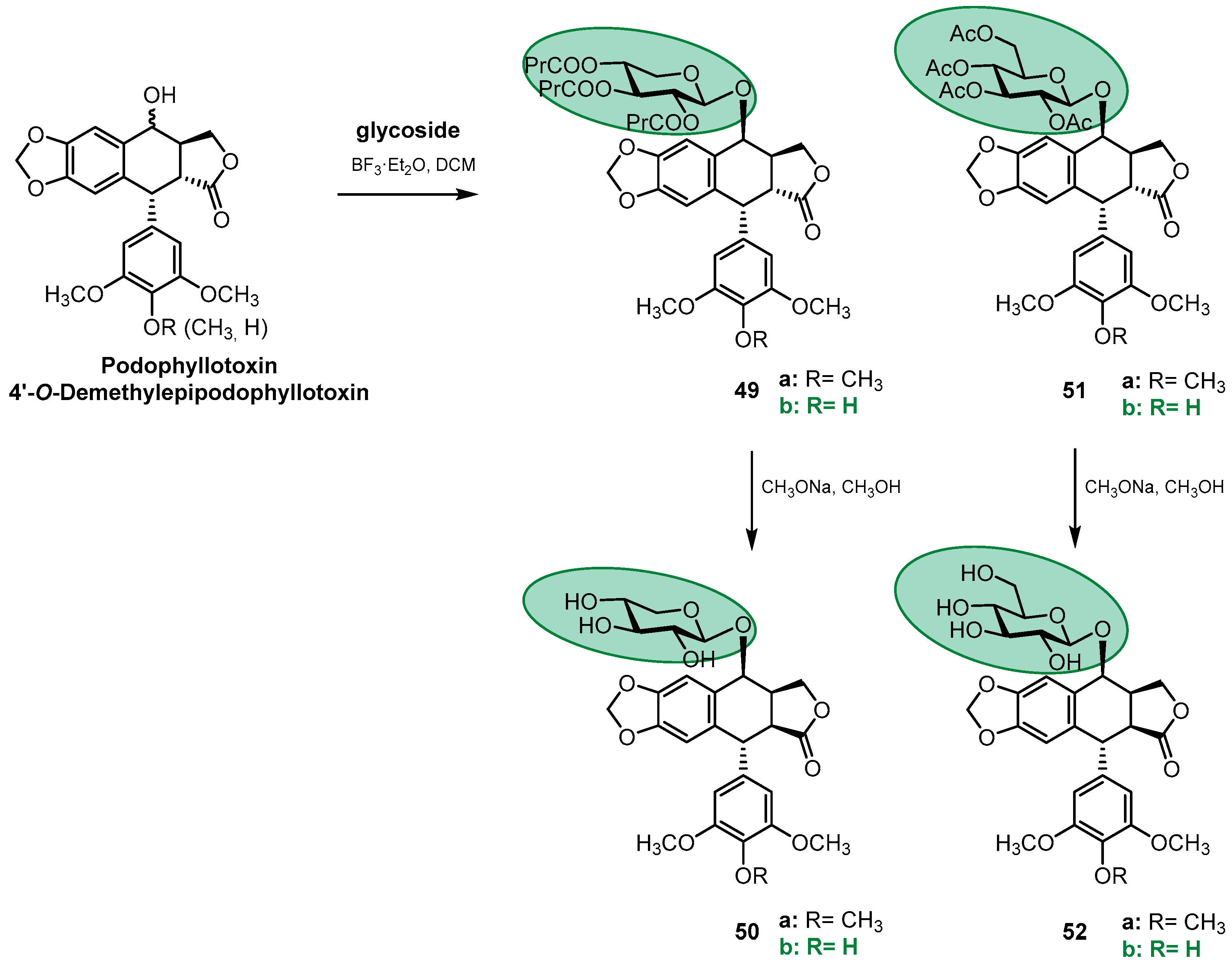 Pharmaceutics 15 02728 sch009