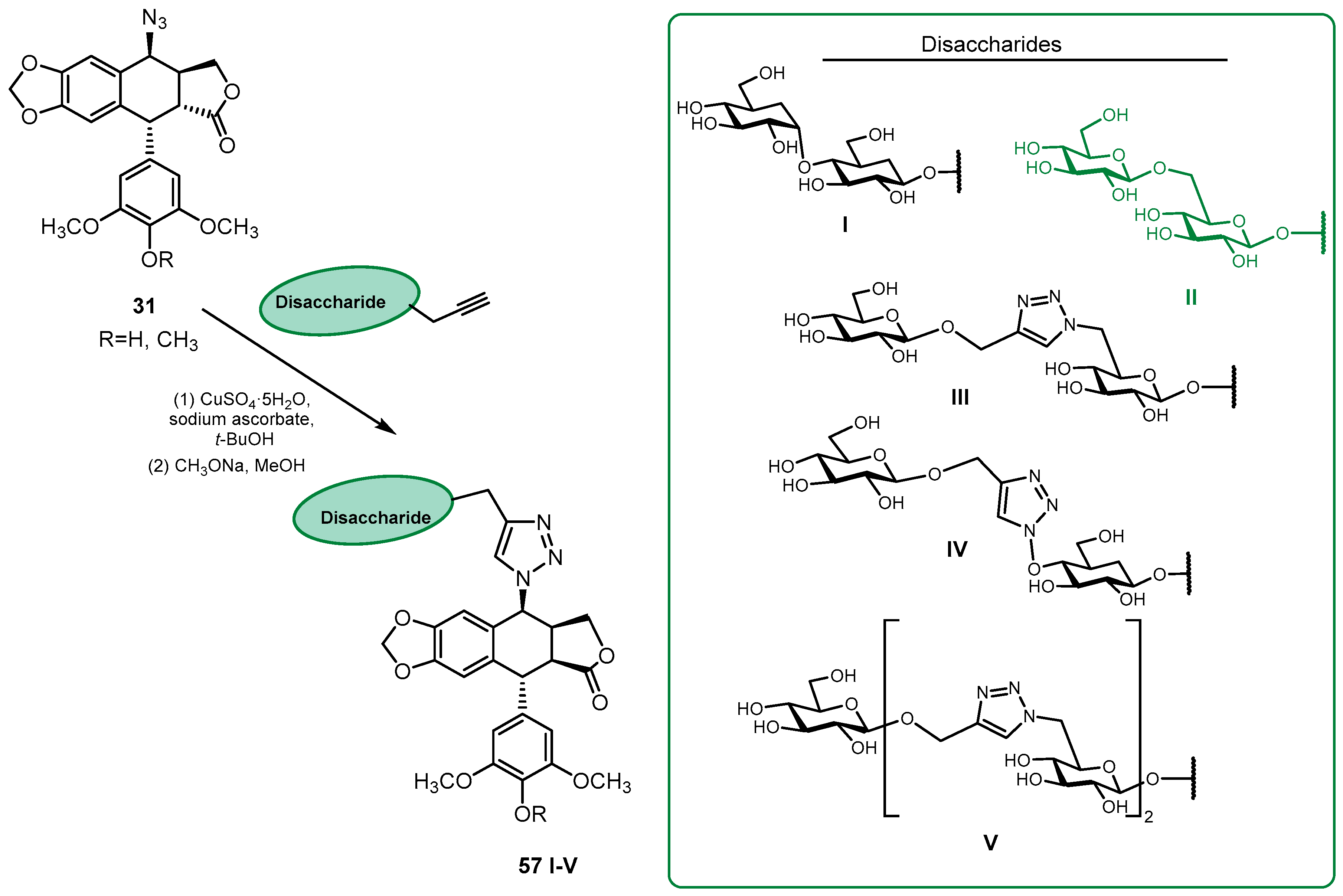 Pharmaceutics 15 02728 sch011