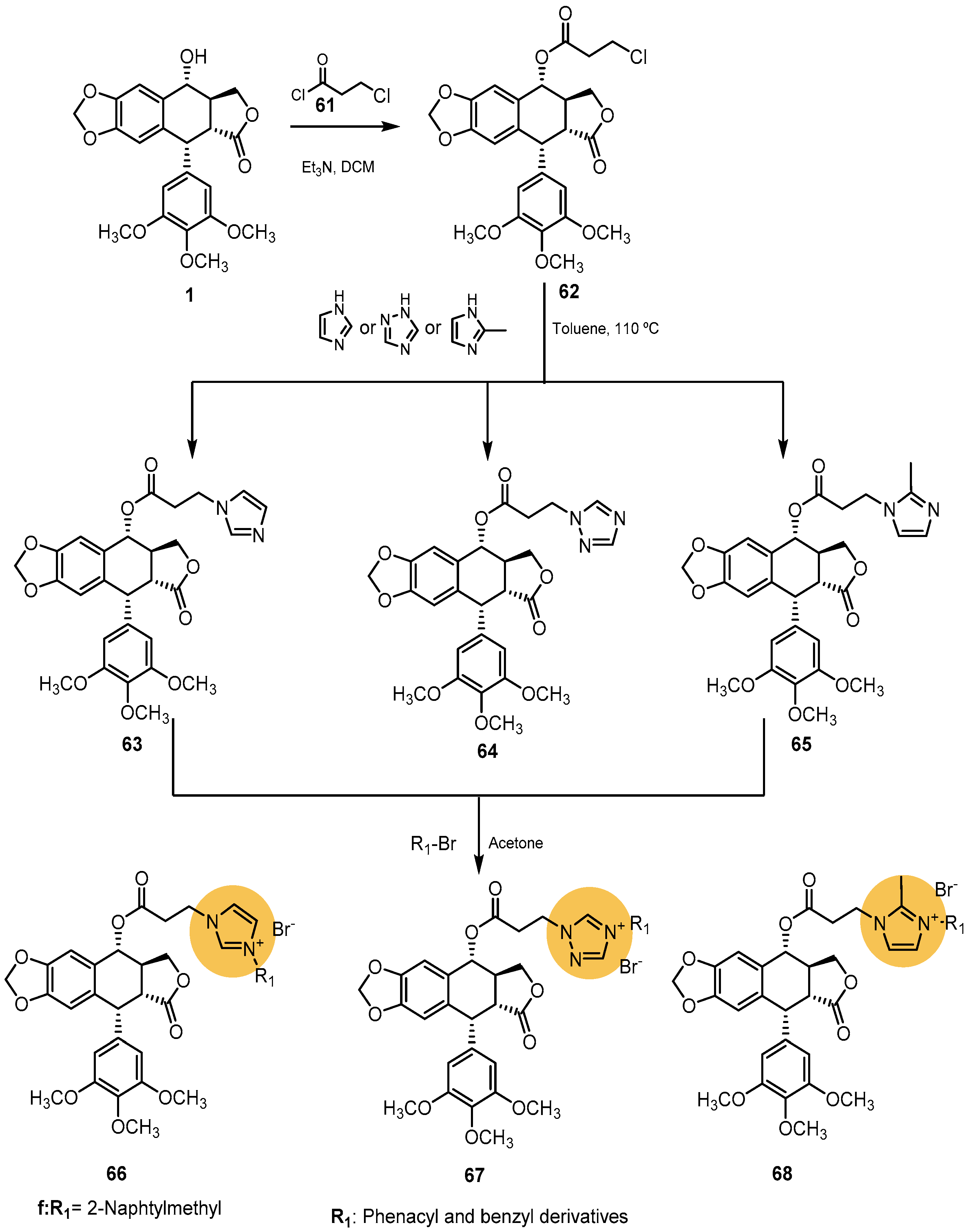 Pharmaceutics 15 02728 sch013