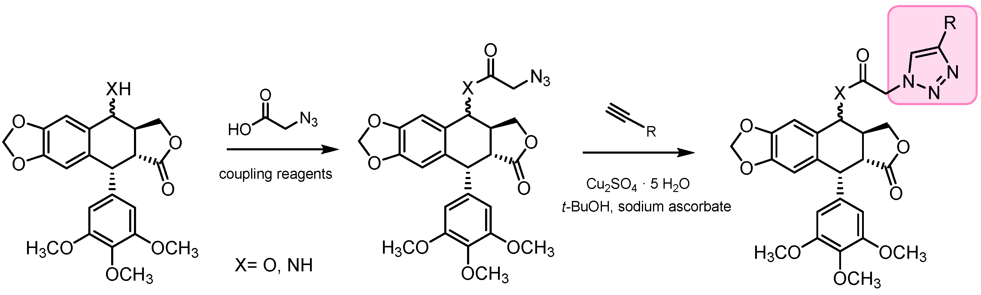 Pharmaceutics 15 02728 sch017