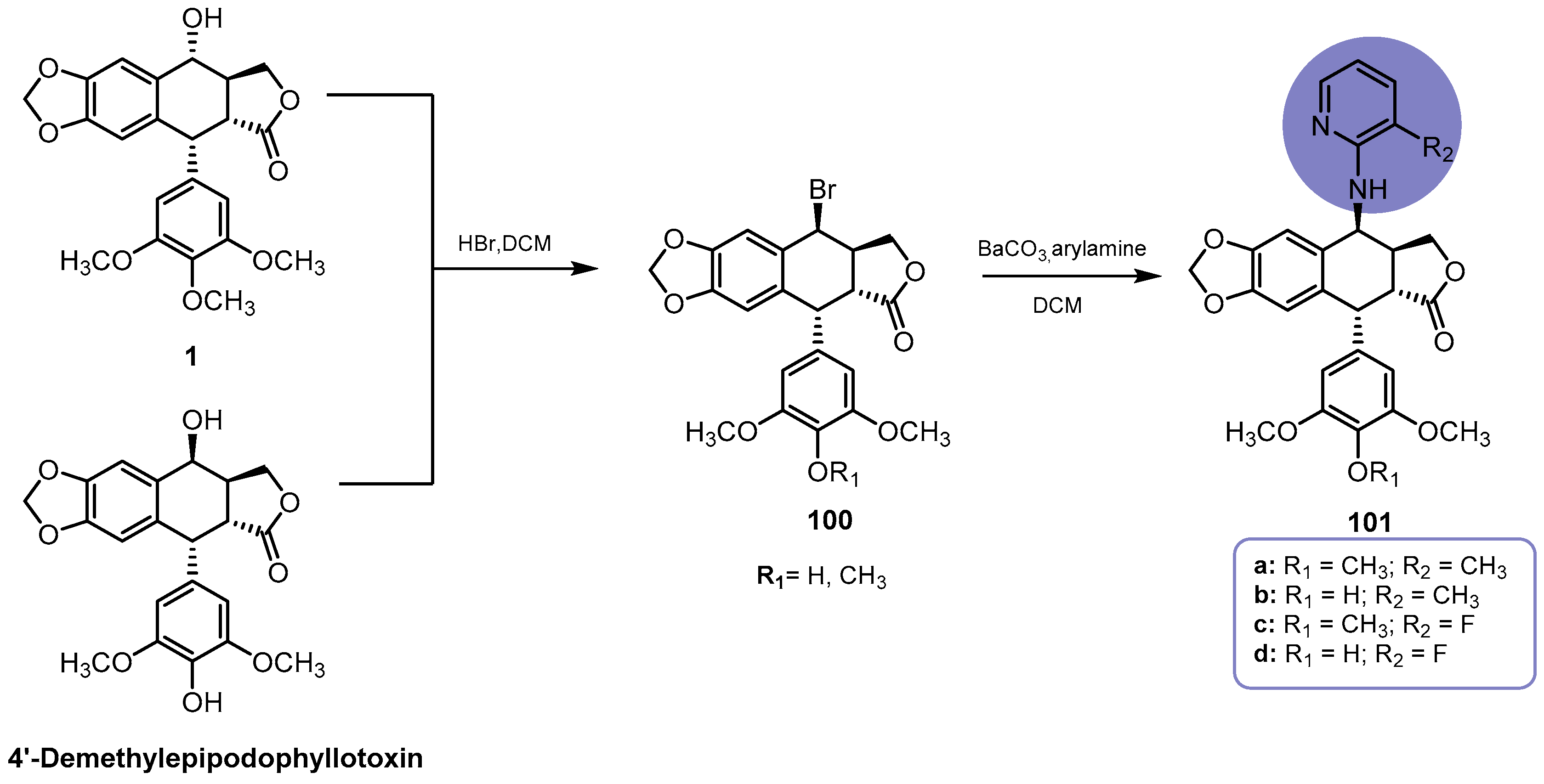 Pharmaceutics 15 02728 sch023