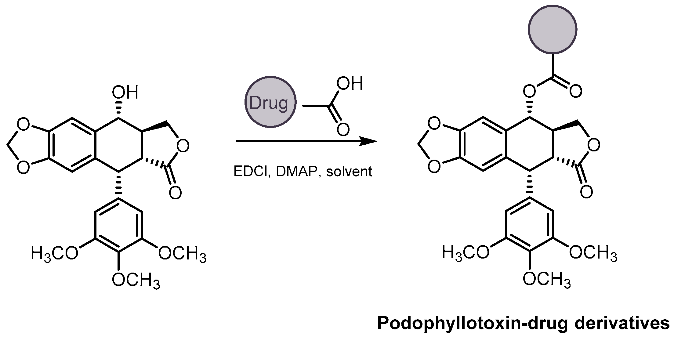 Pharmaceutics 15 02728 sch031