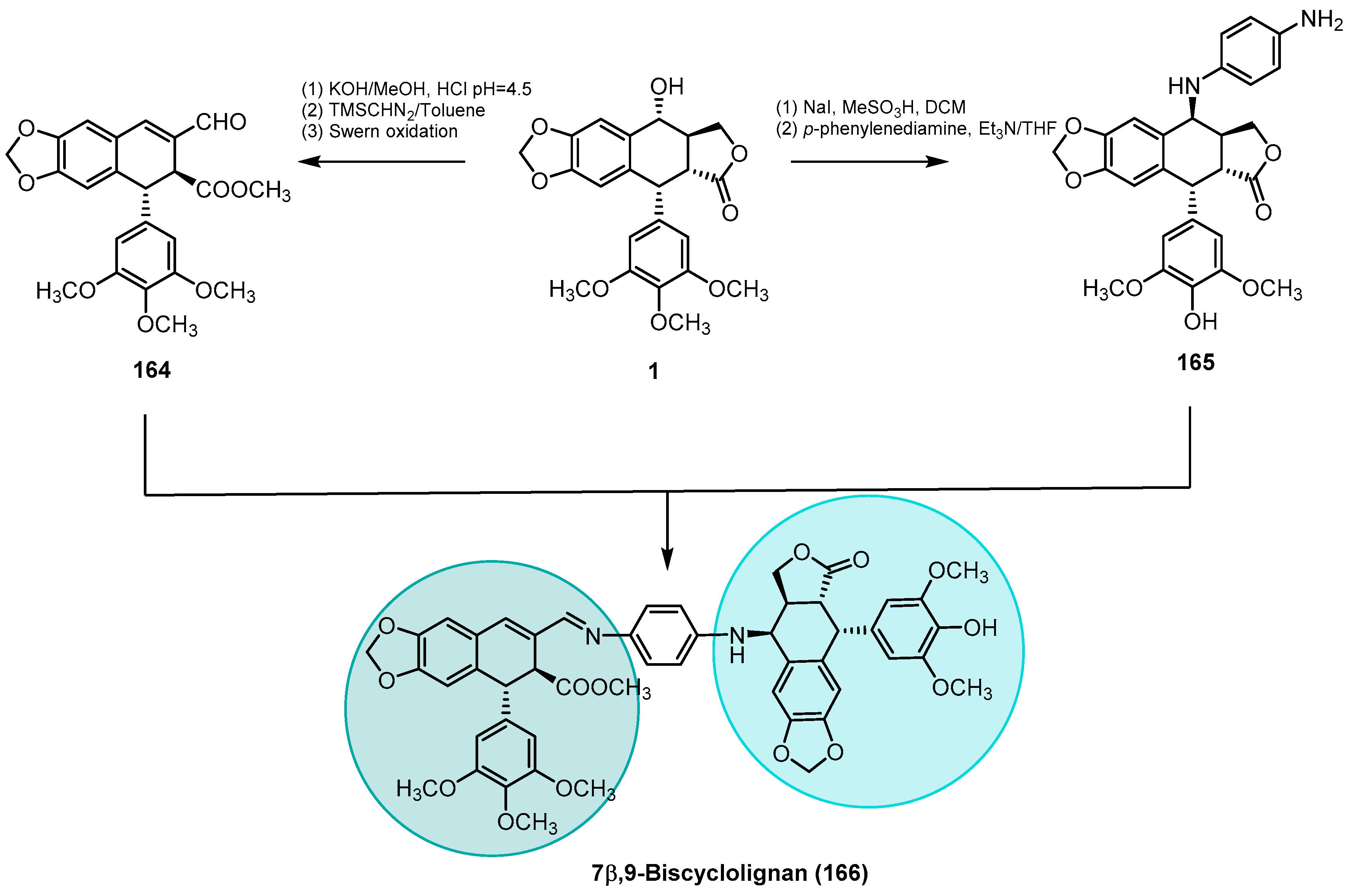 Pharmaceutics 15 02728 sch046