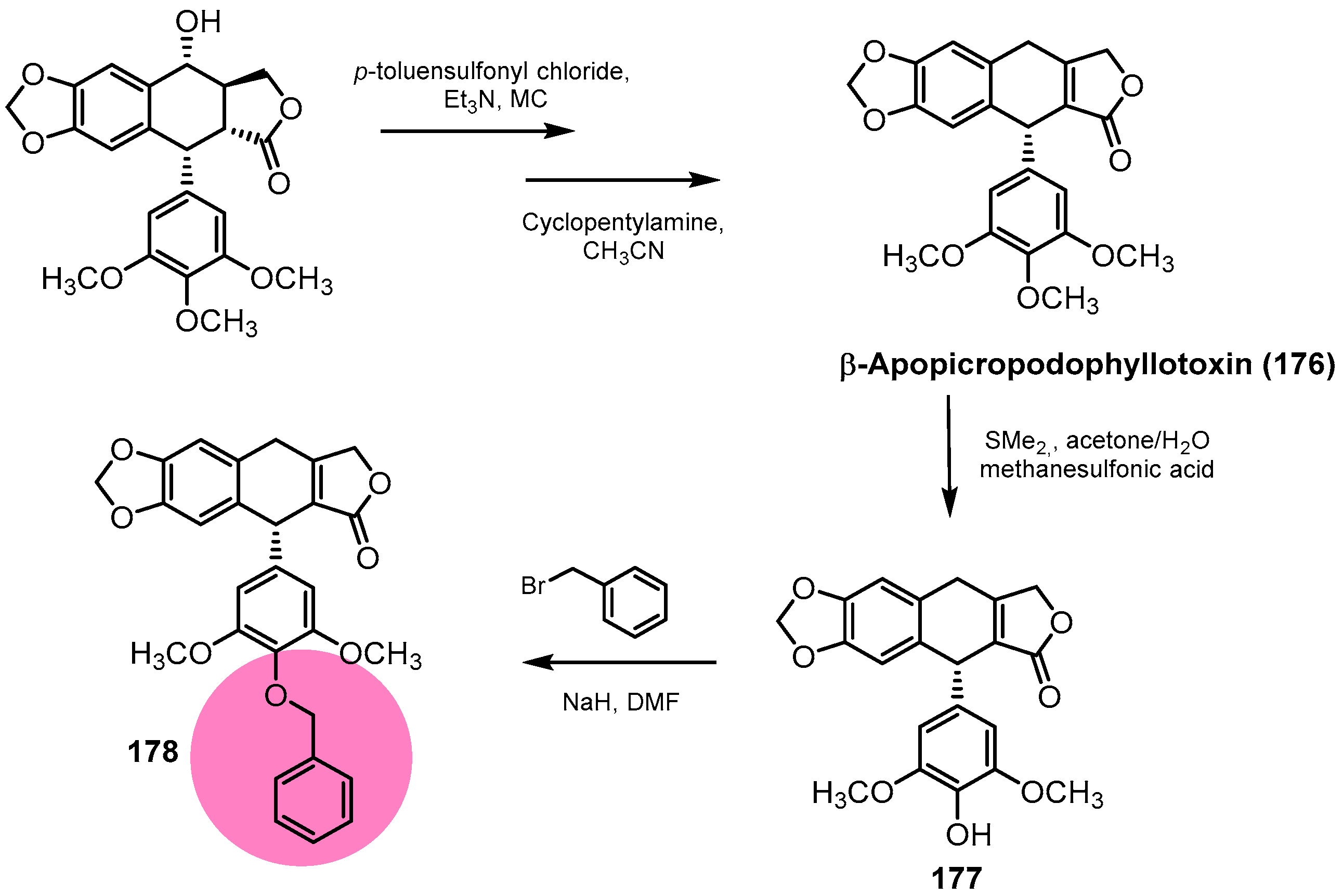 Pharmaceutics 15 02728 sch050