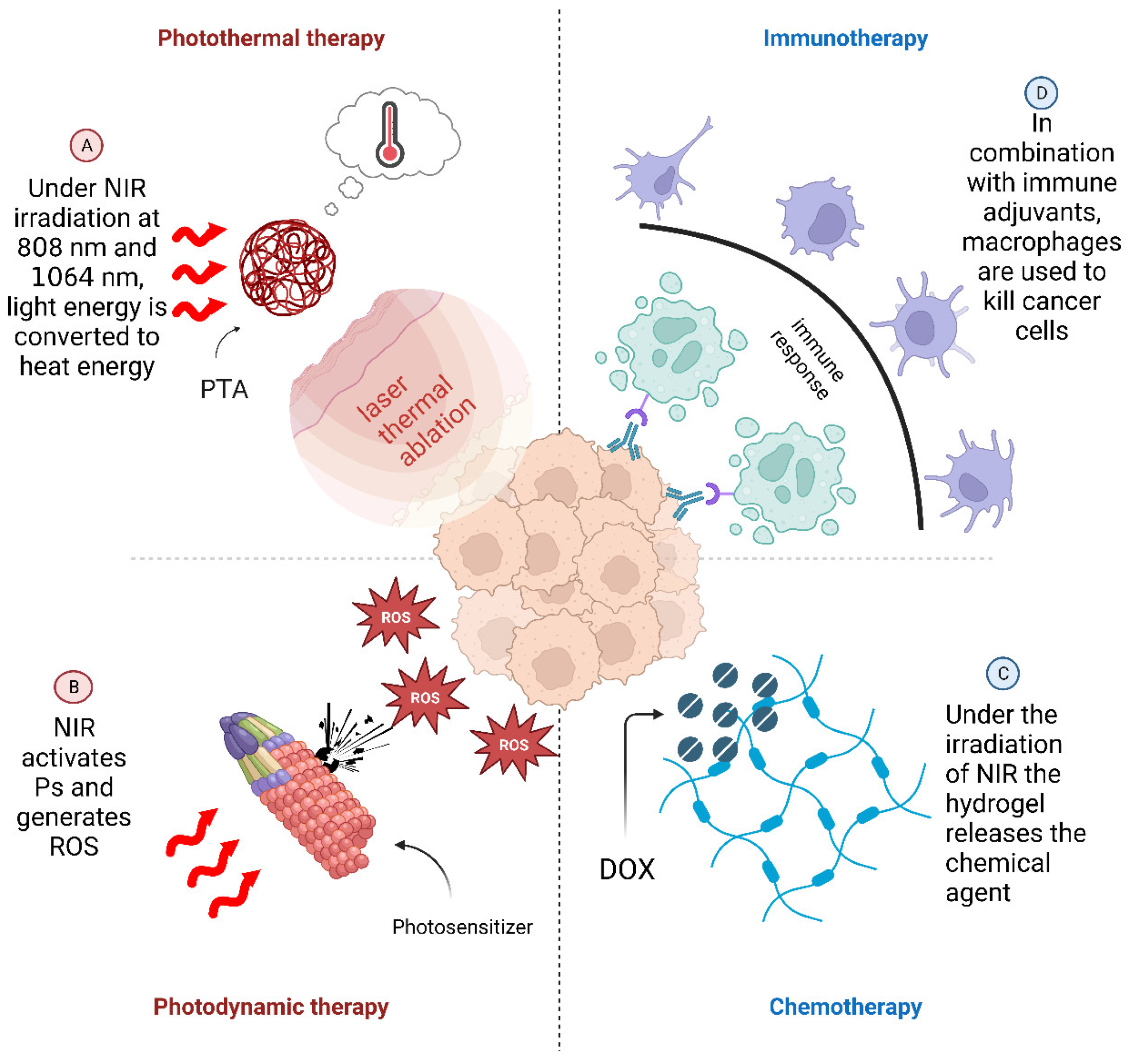 Pharmaceutics 15 02729 g001