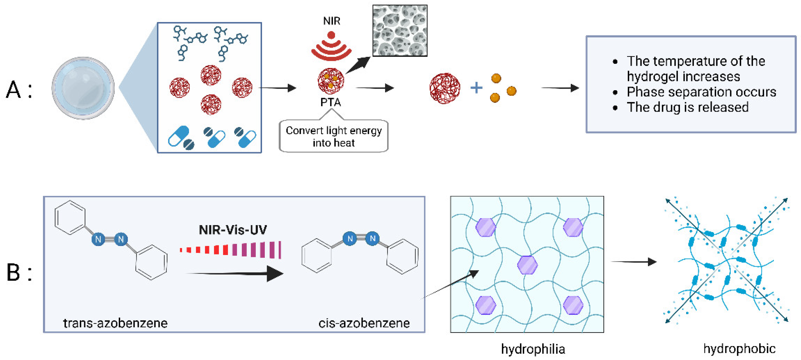 Pharmaceutics 15 02729 g003