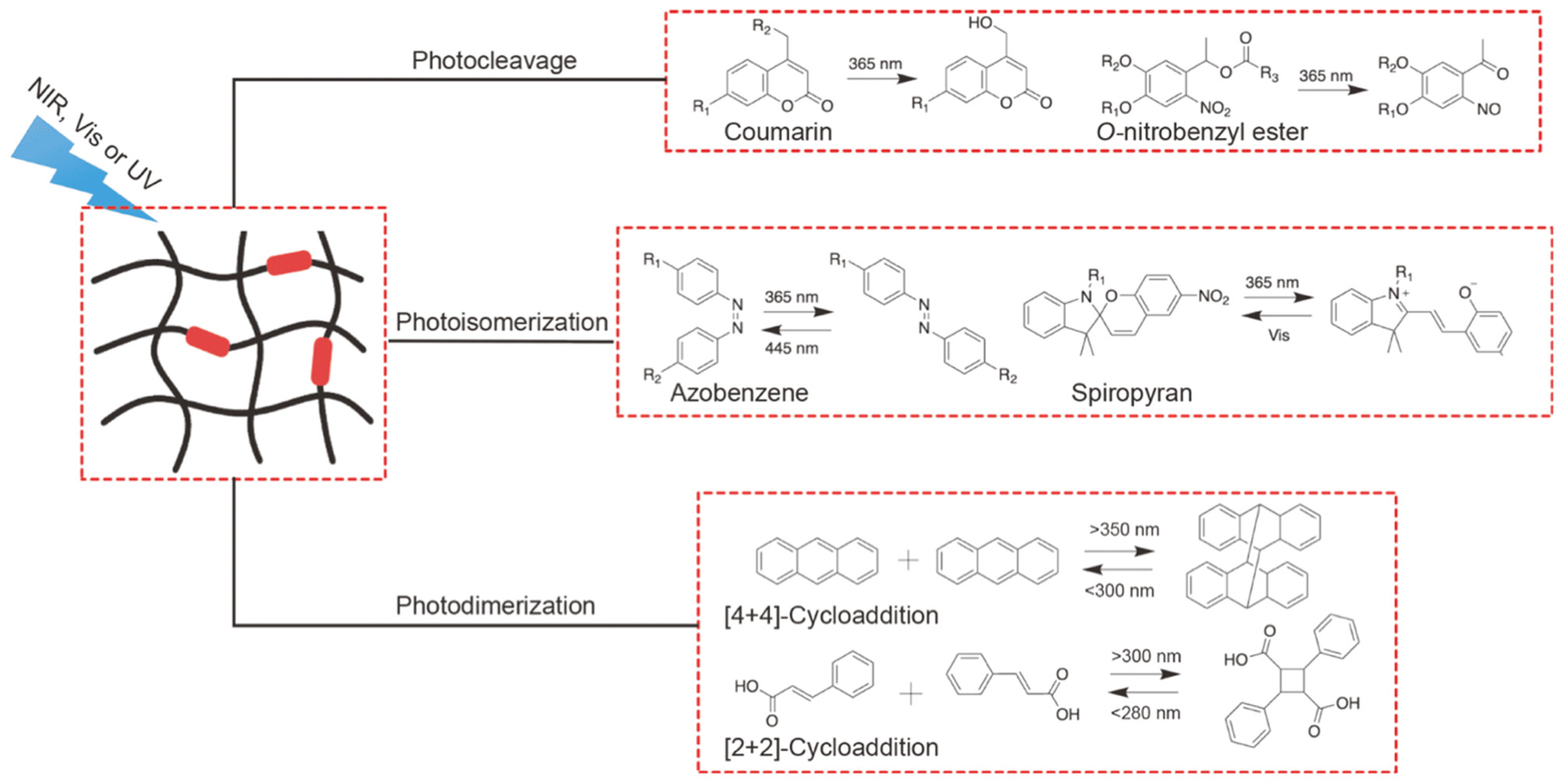 Pharmaceutics 15 02729 g004