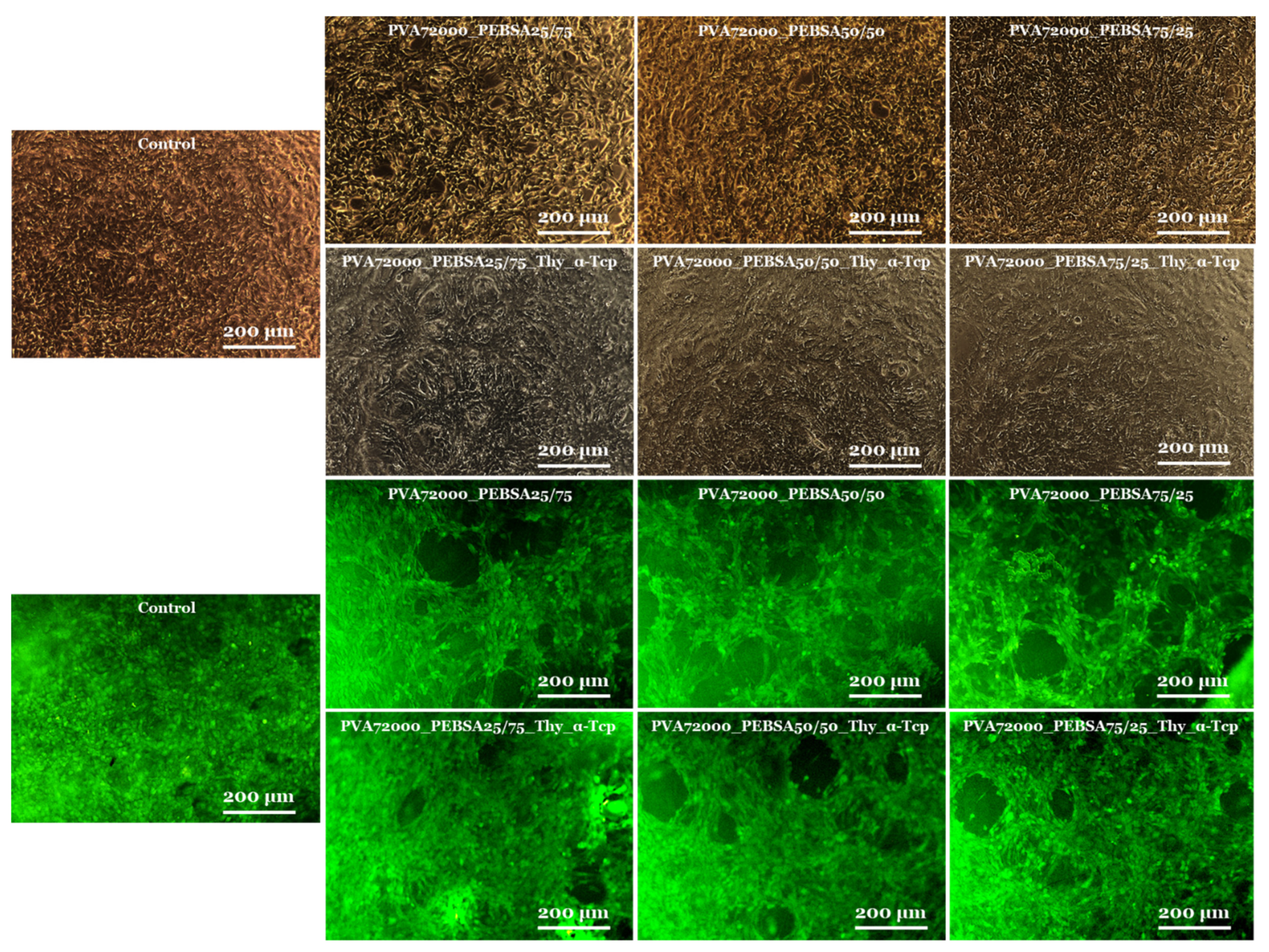 Pharmaceutics 15 02730 g007
