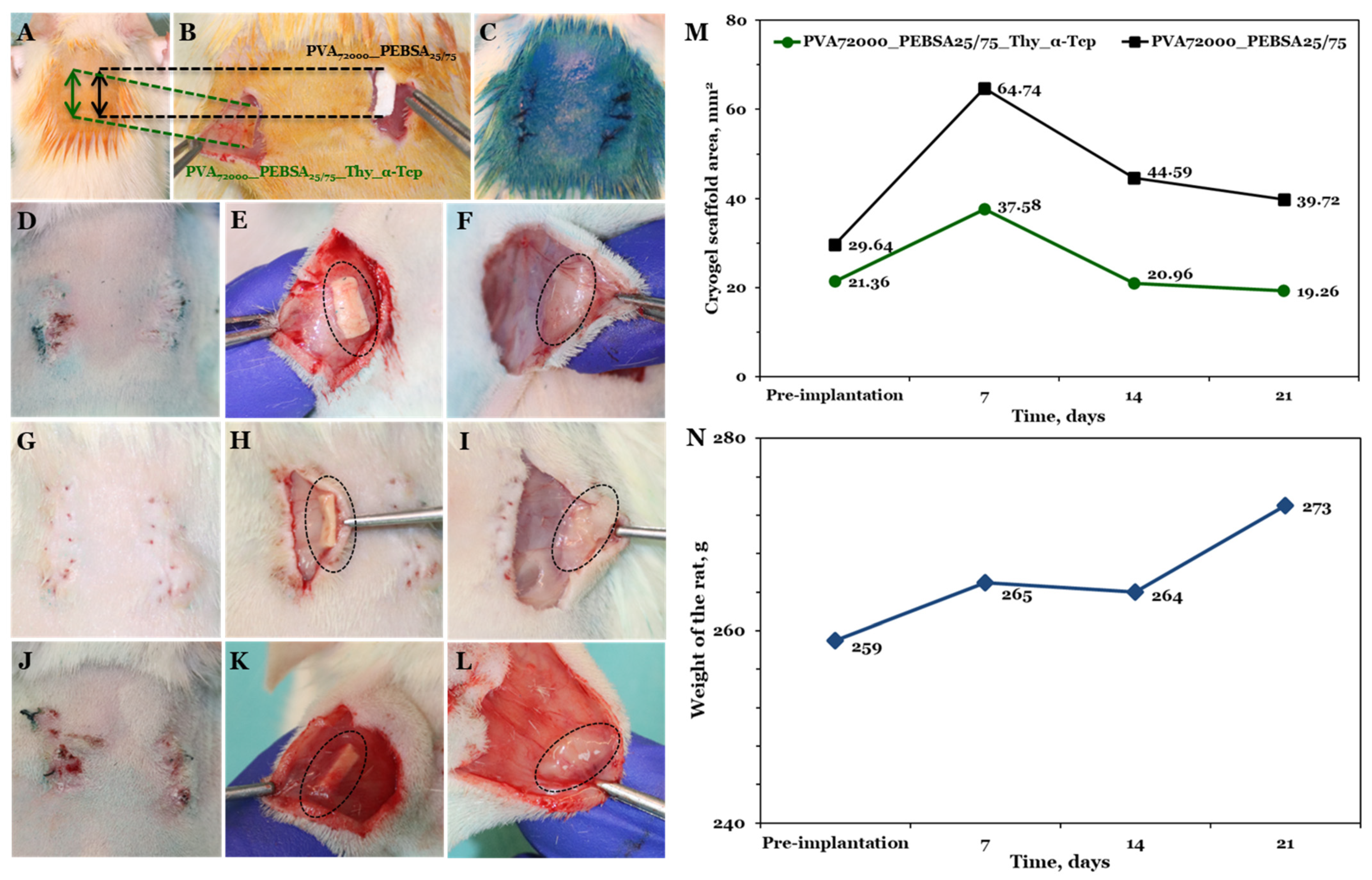 Pharmaceutics 15 02730 g008