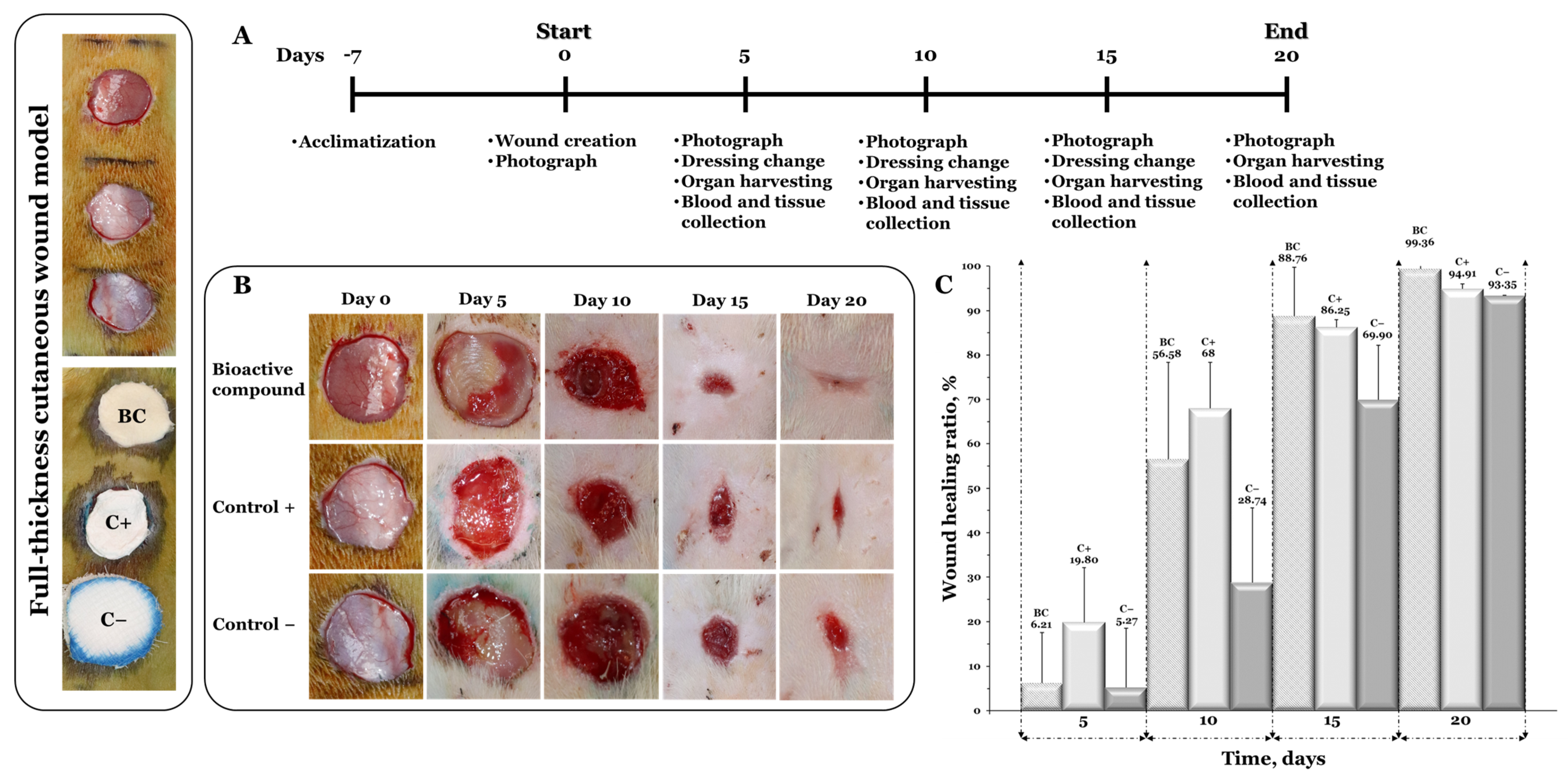 Pharmaceutics 15 02730 g009