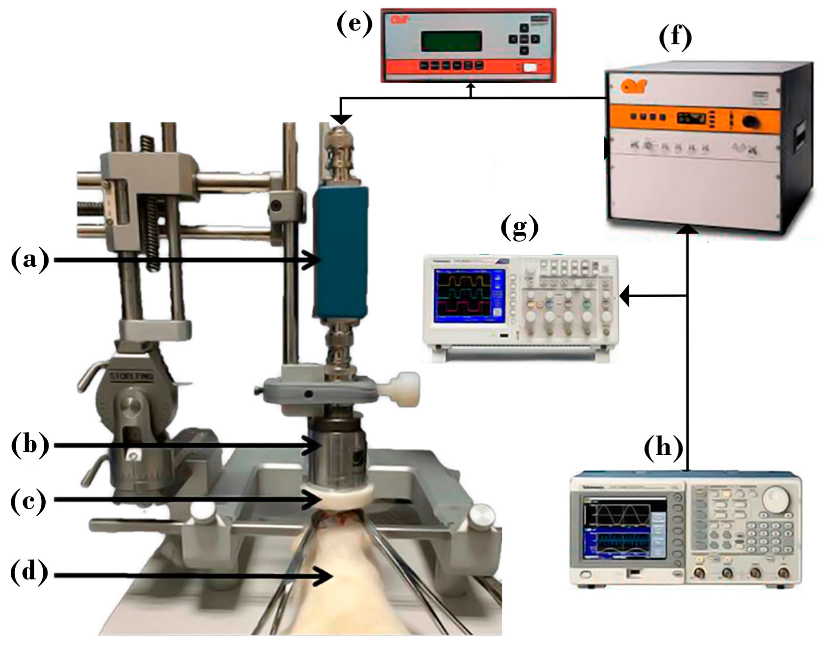 Pharmaceutics 15 02733 g001