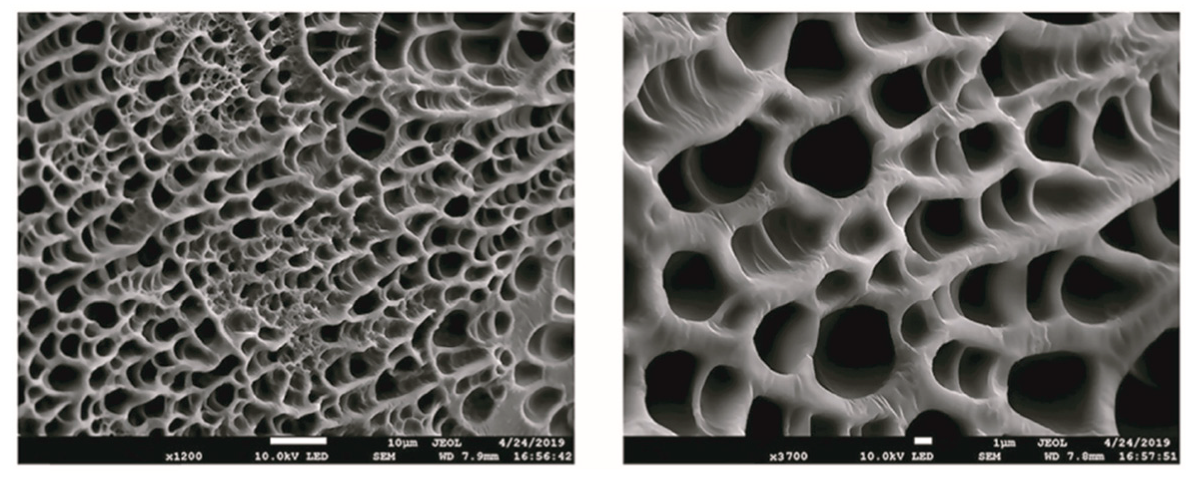 Pharmaceutics 15 02735 g001