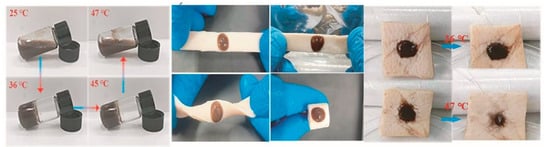 Pharmaceutics 15 02735 g003