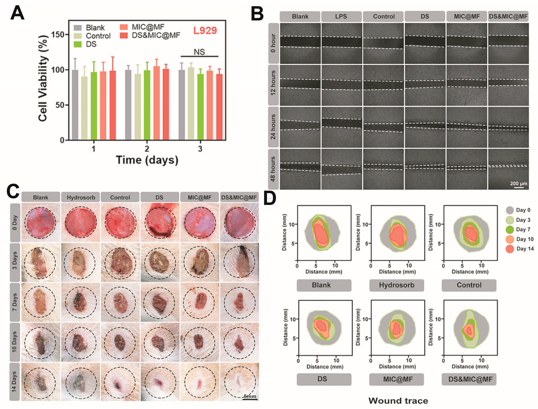 Pharmaceutics 15 02735 g004