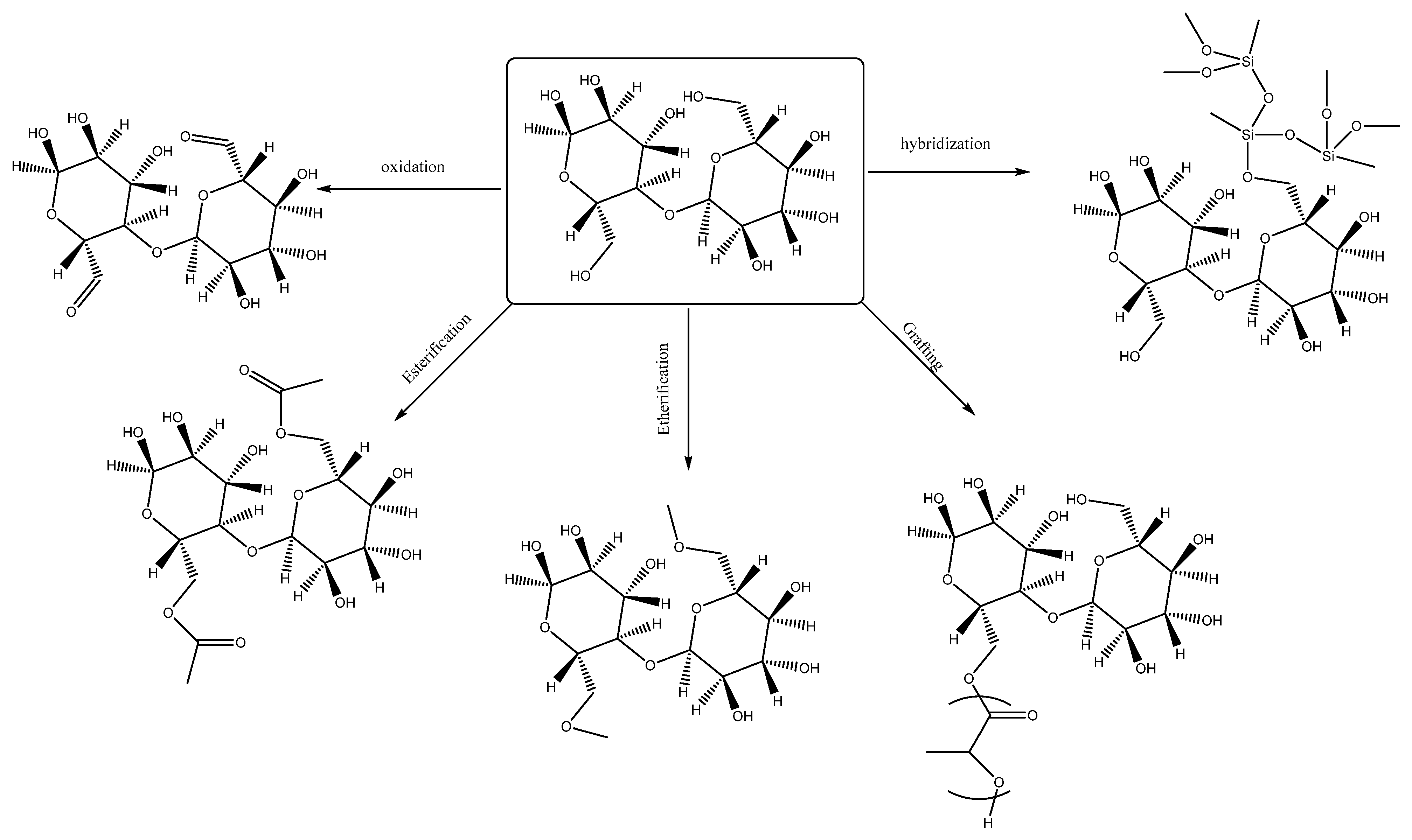 Pharmaceutics 15 02738 g003