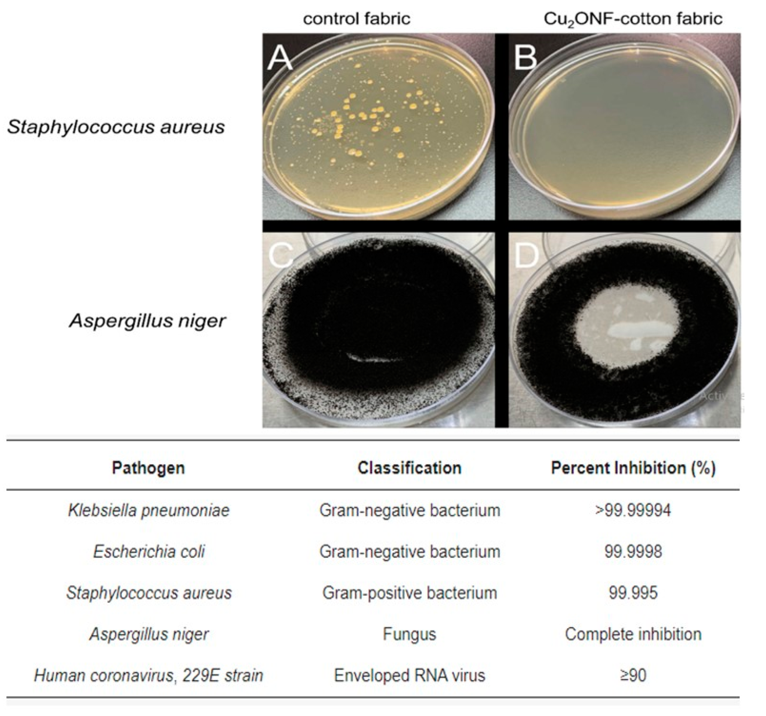 Pharmaceutics 15 02738 g005