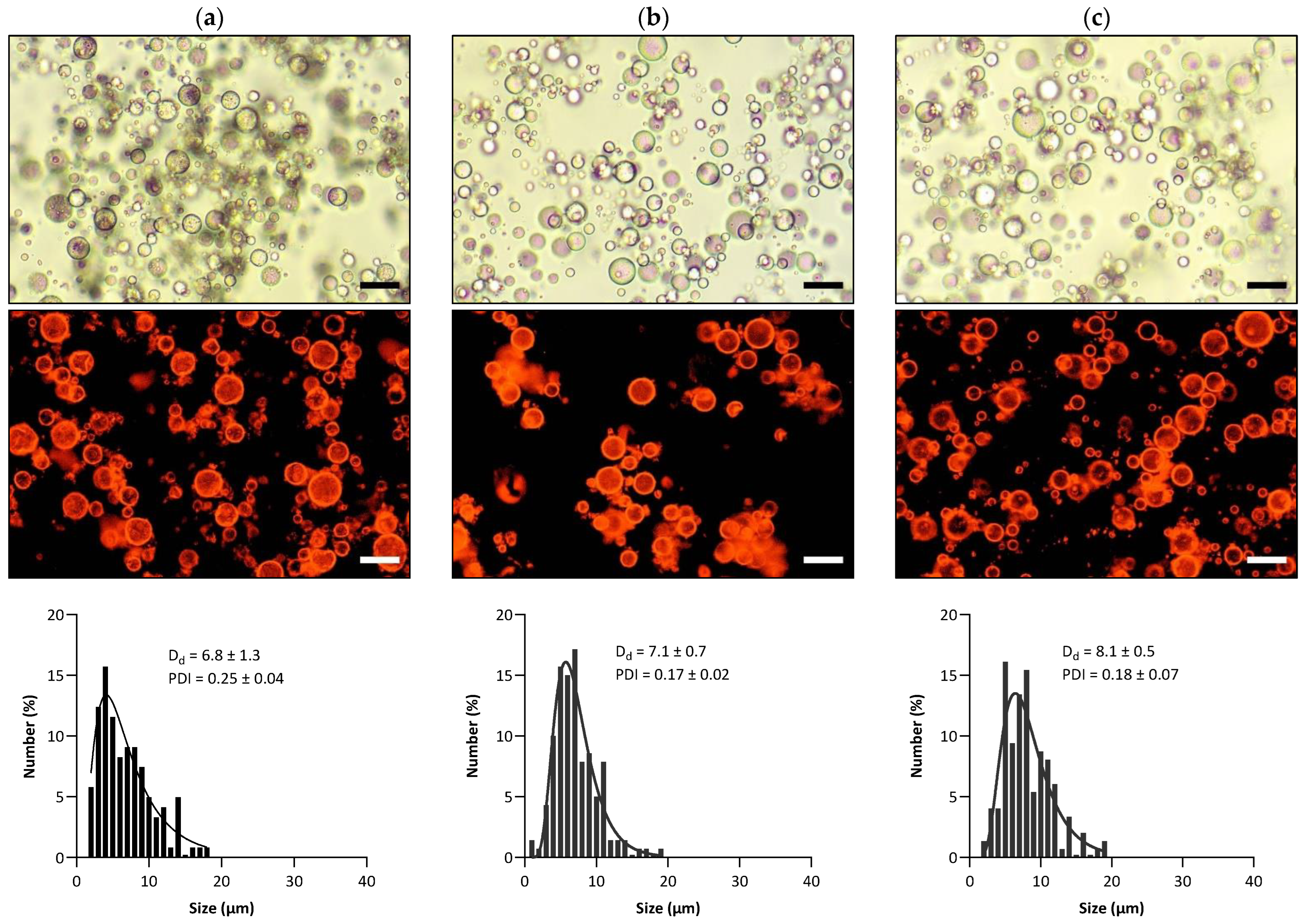 Pharmaceutics 15 02757 g003