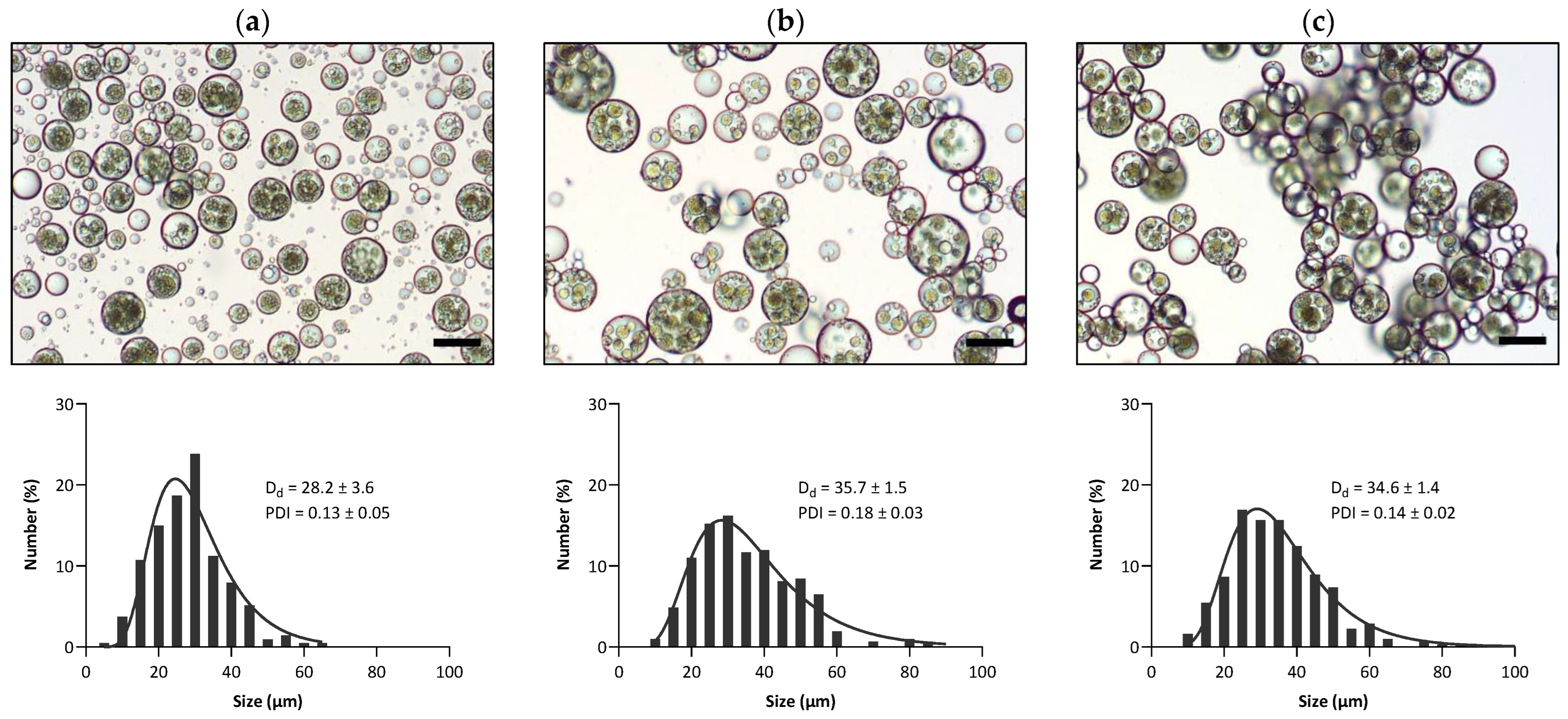 Pharmaceutics 15 02757 g004