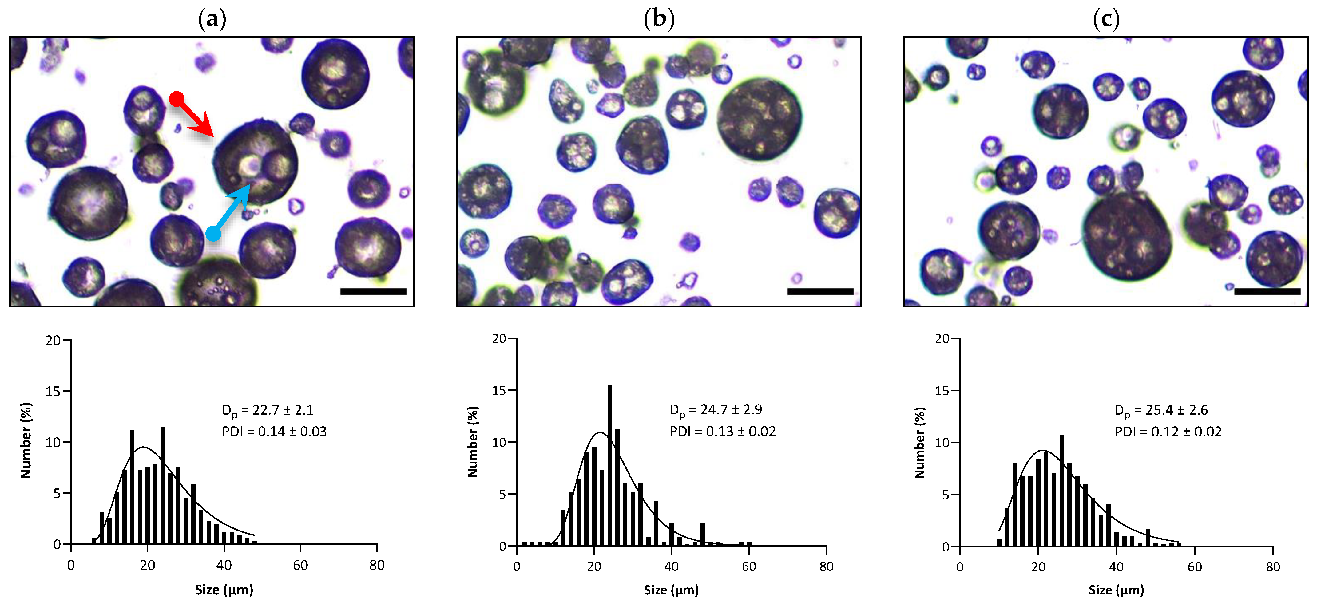 Pharmaceutics 15 02757 g005