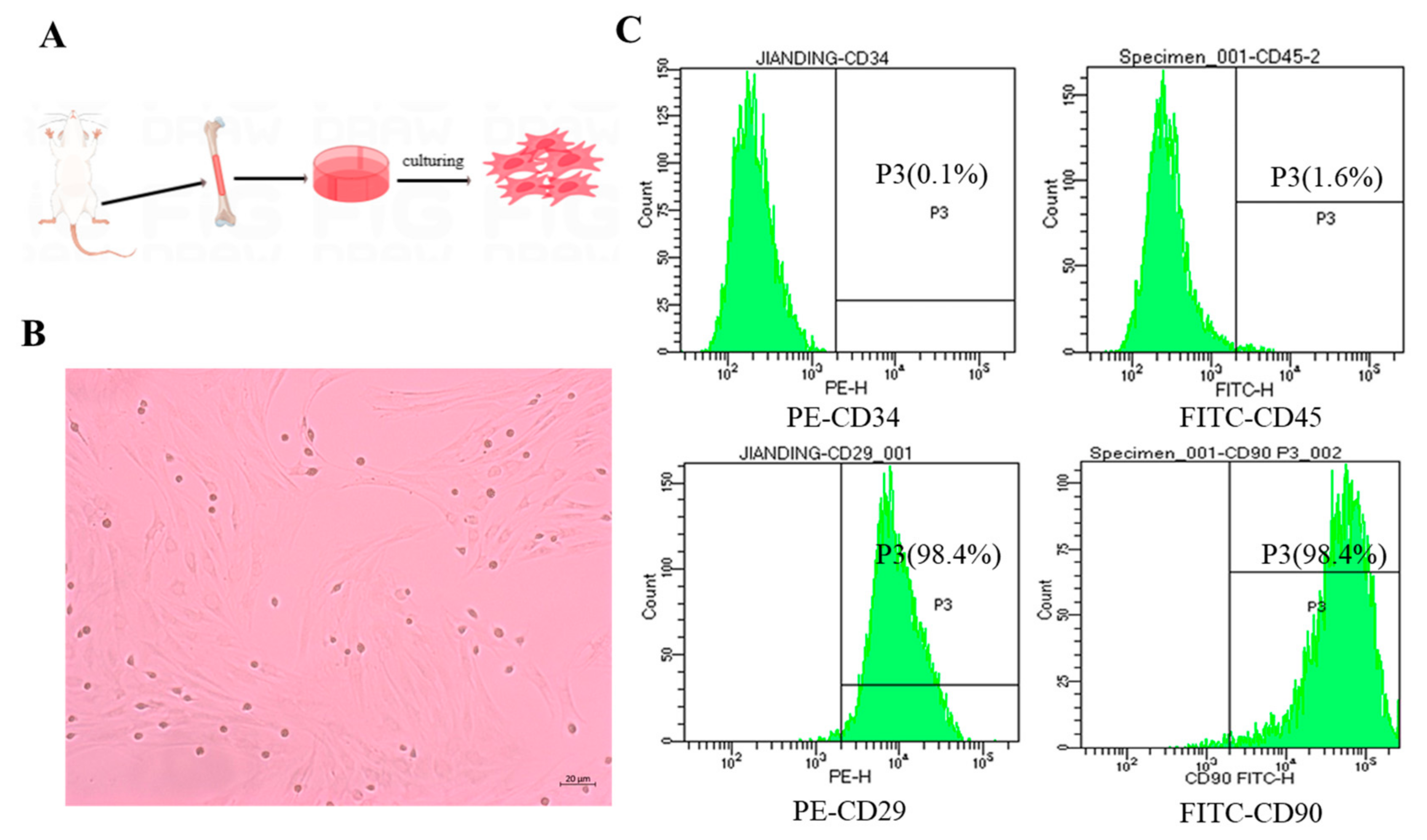 Pharmaceutics 15 02764 g002