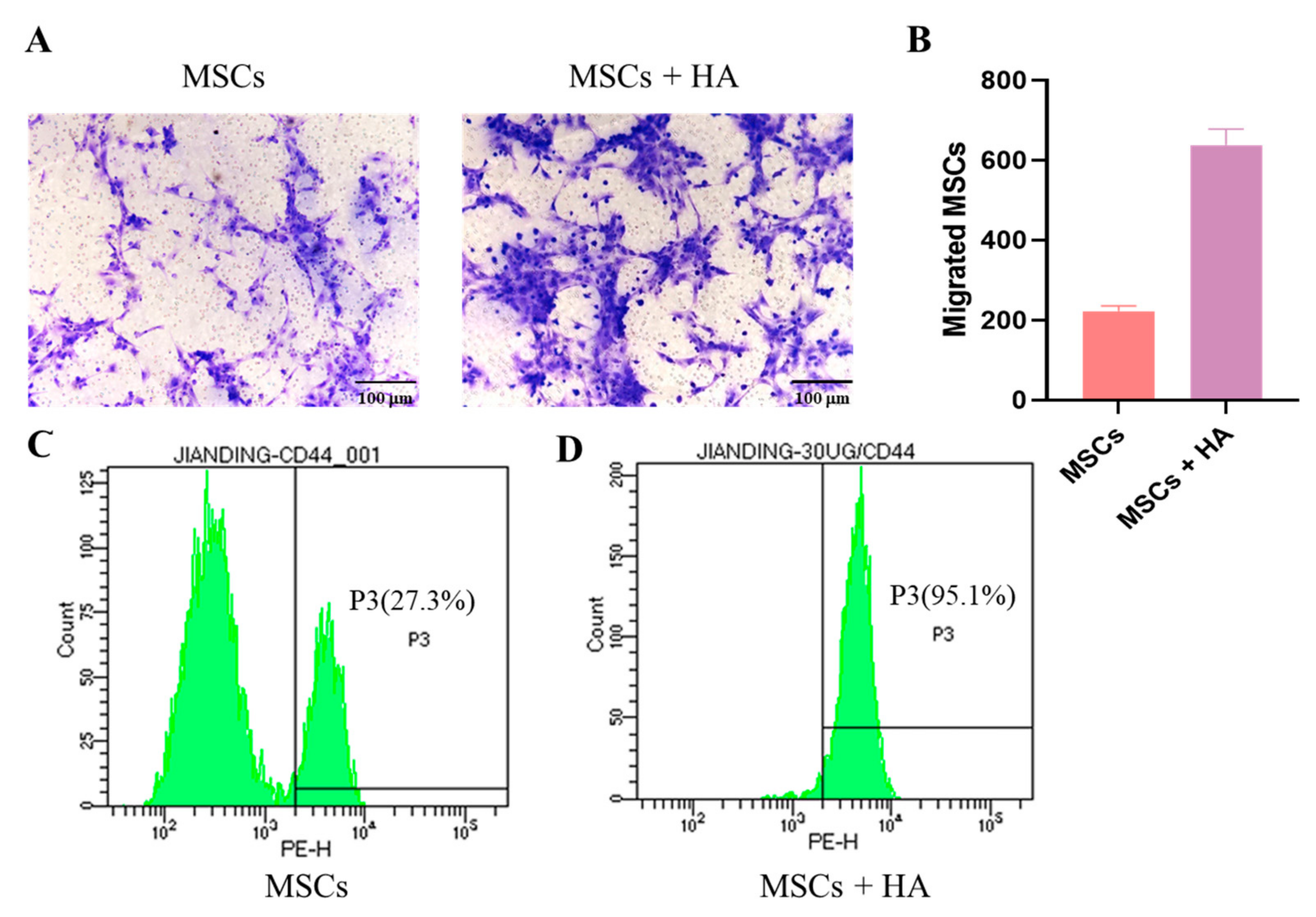 Pharmaceutics 15 02764 g003